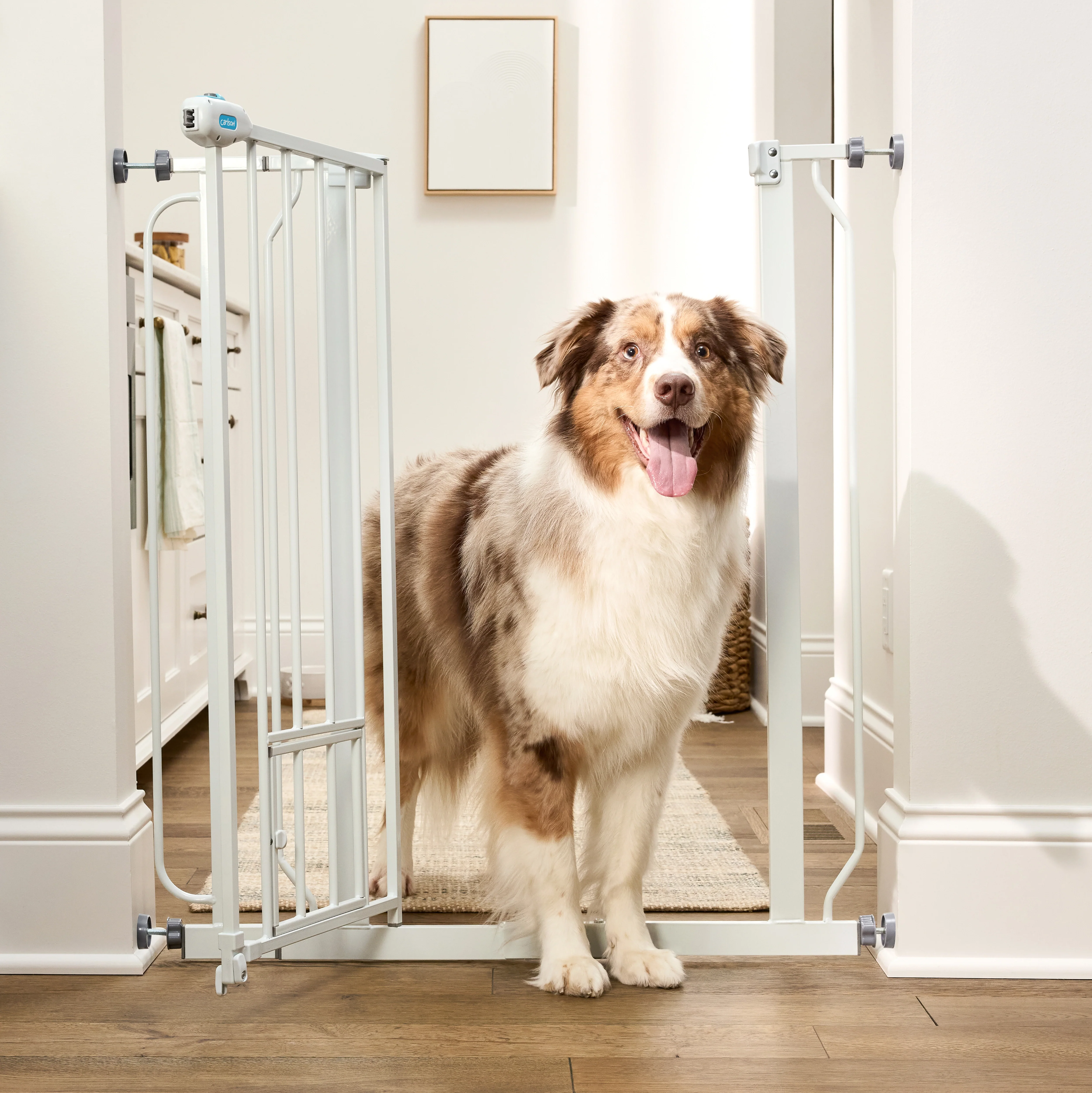 36” Extra Tall Walk-Thru Pet Gate - Image 5