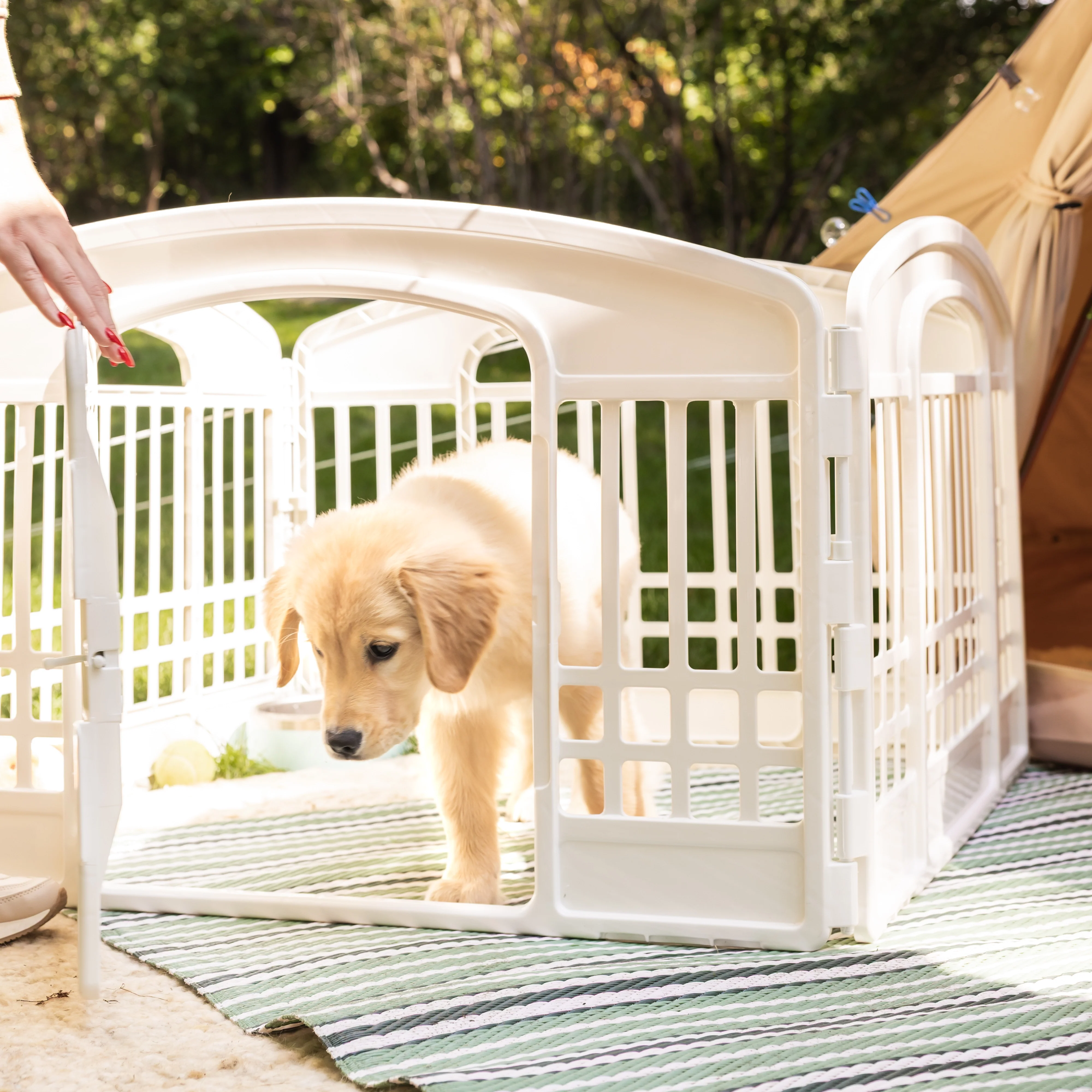 4-Panel Plastic Pet Pen - Image 11