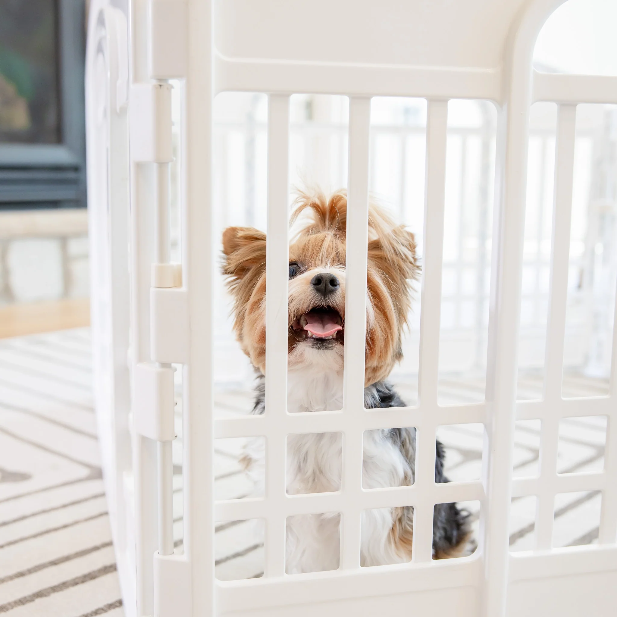 4-Panel Plastic Pet Pen - Image 13