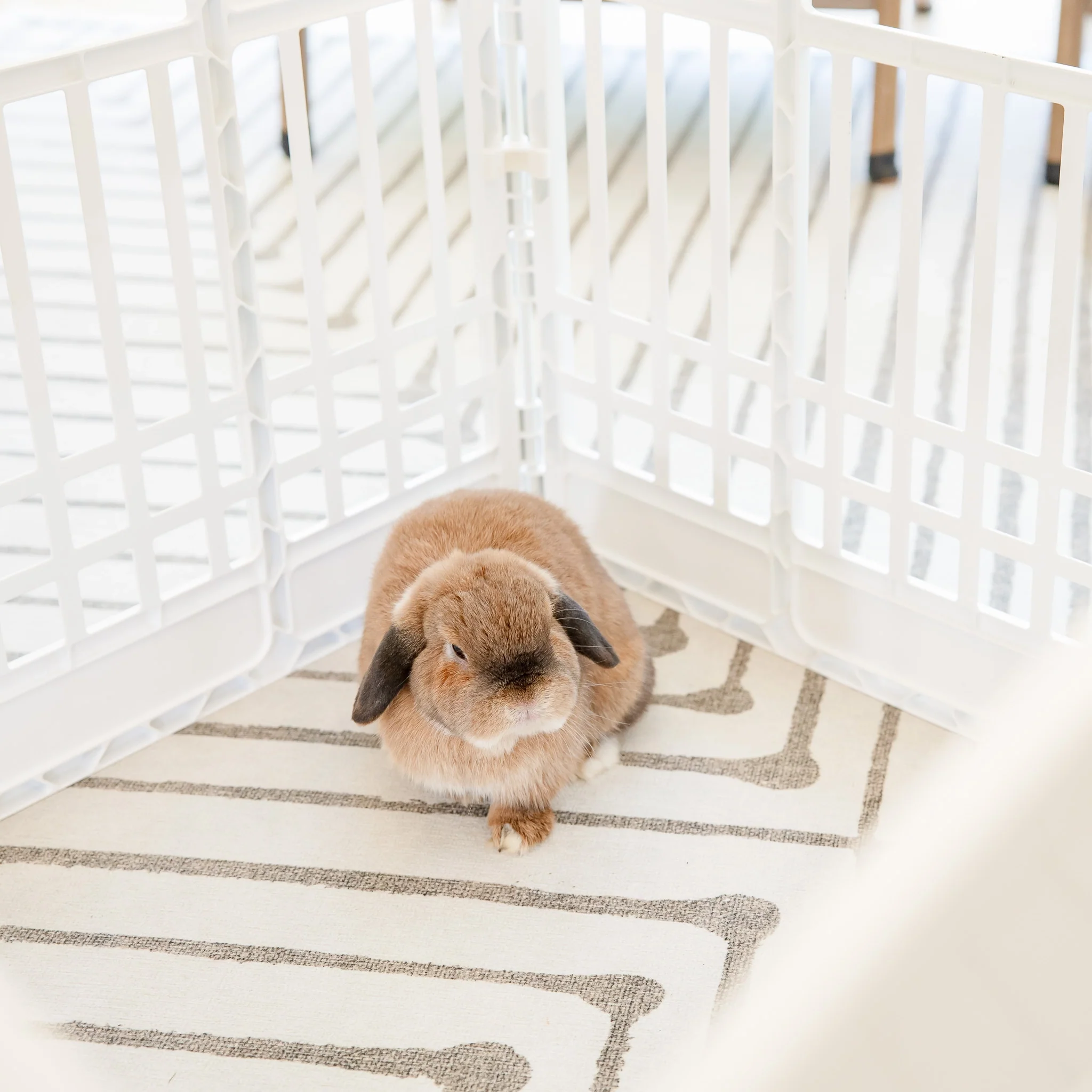 4-Panel Plastic Pet Pen - Image 16
