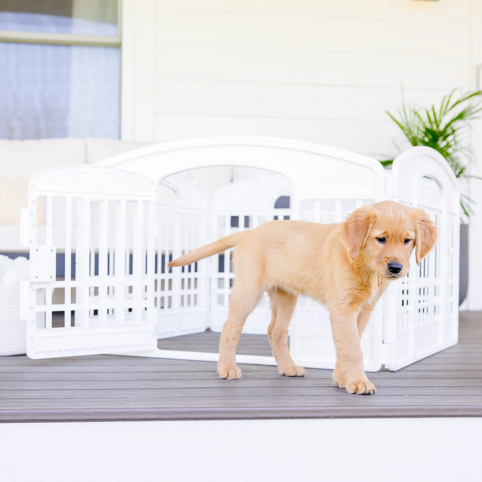 4-Panel Plastic Pet Pen - Image 7