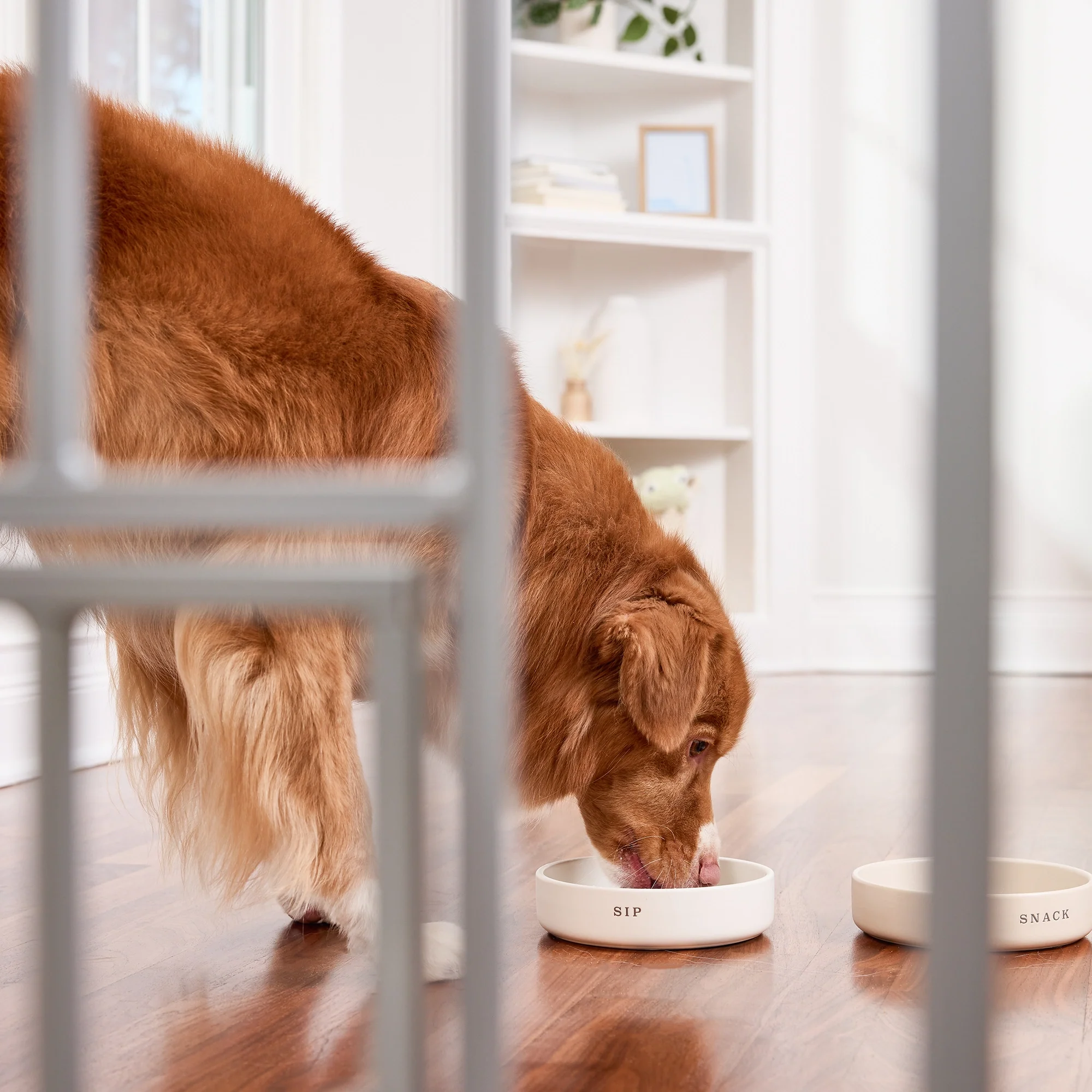 51" Extra Wide Walk-Thru Pet Gate with Lift Handle - Image 5