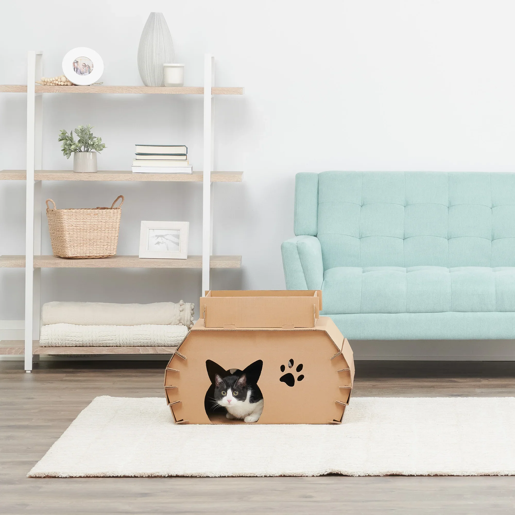 Cat Camper - Image 4