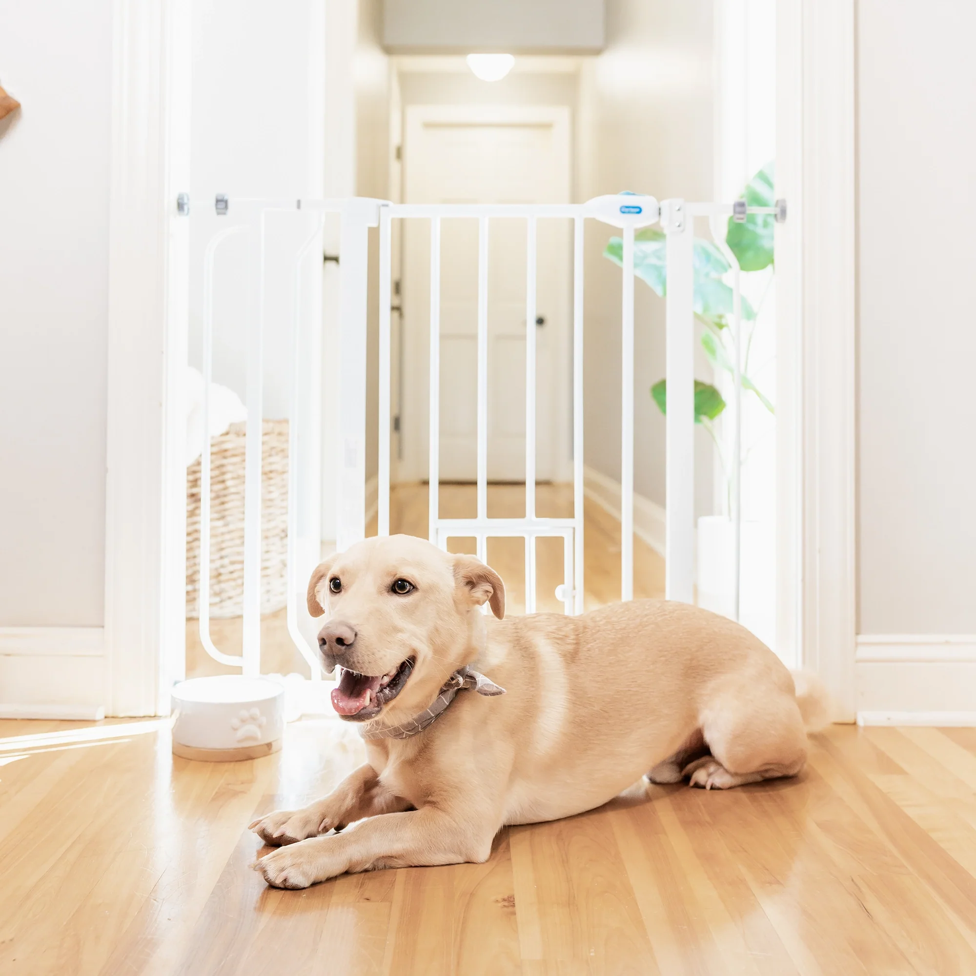 Extra Wide Walk-Thru Pet Gate - Image 10