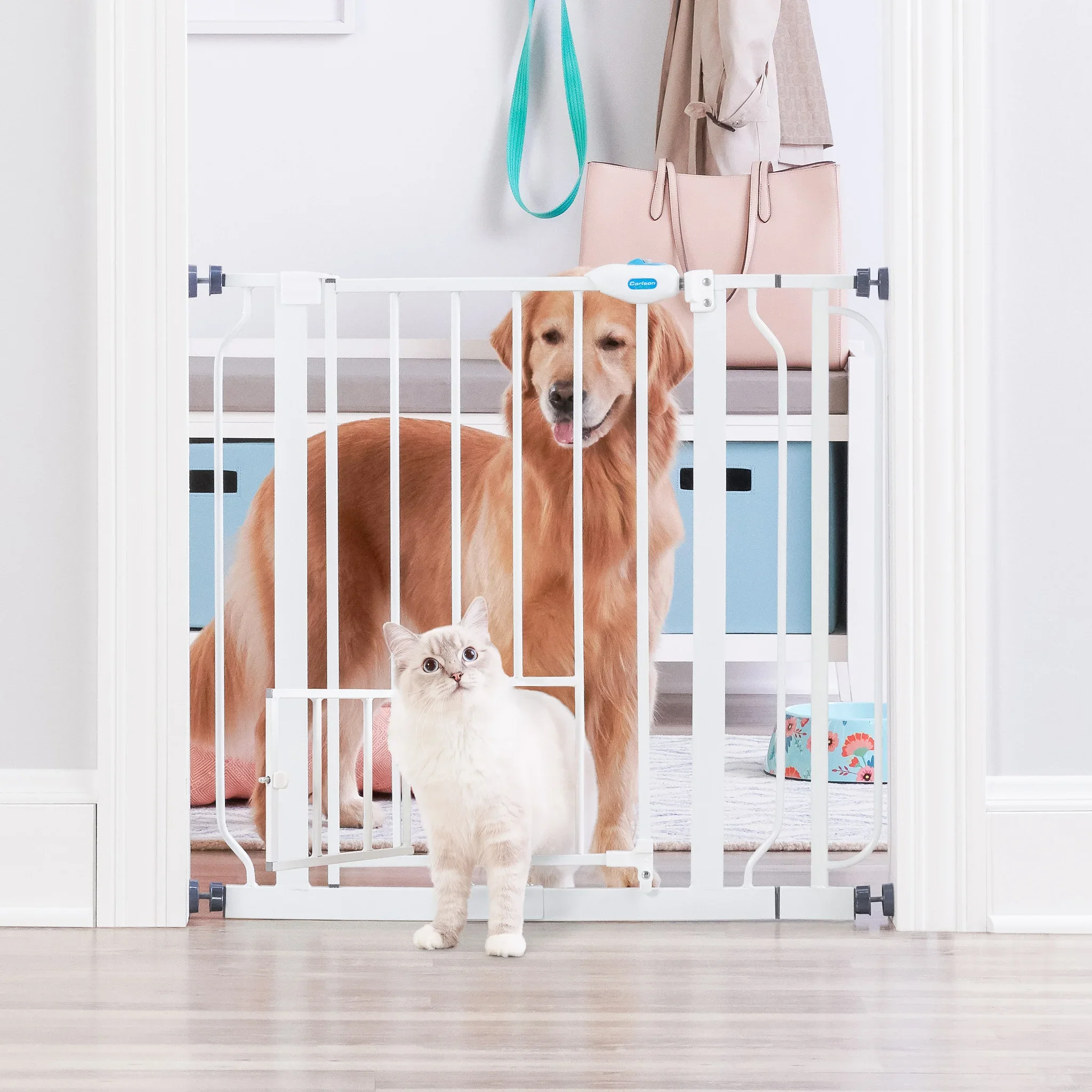 Extra Wide Walk-Thru Pet Gate - Image 5