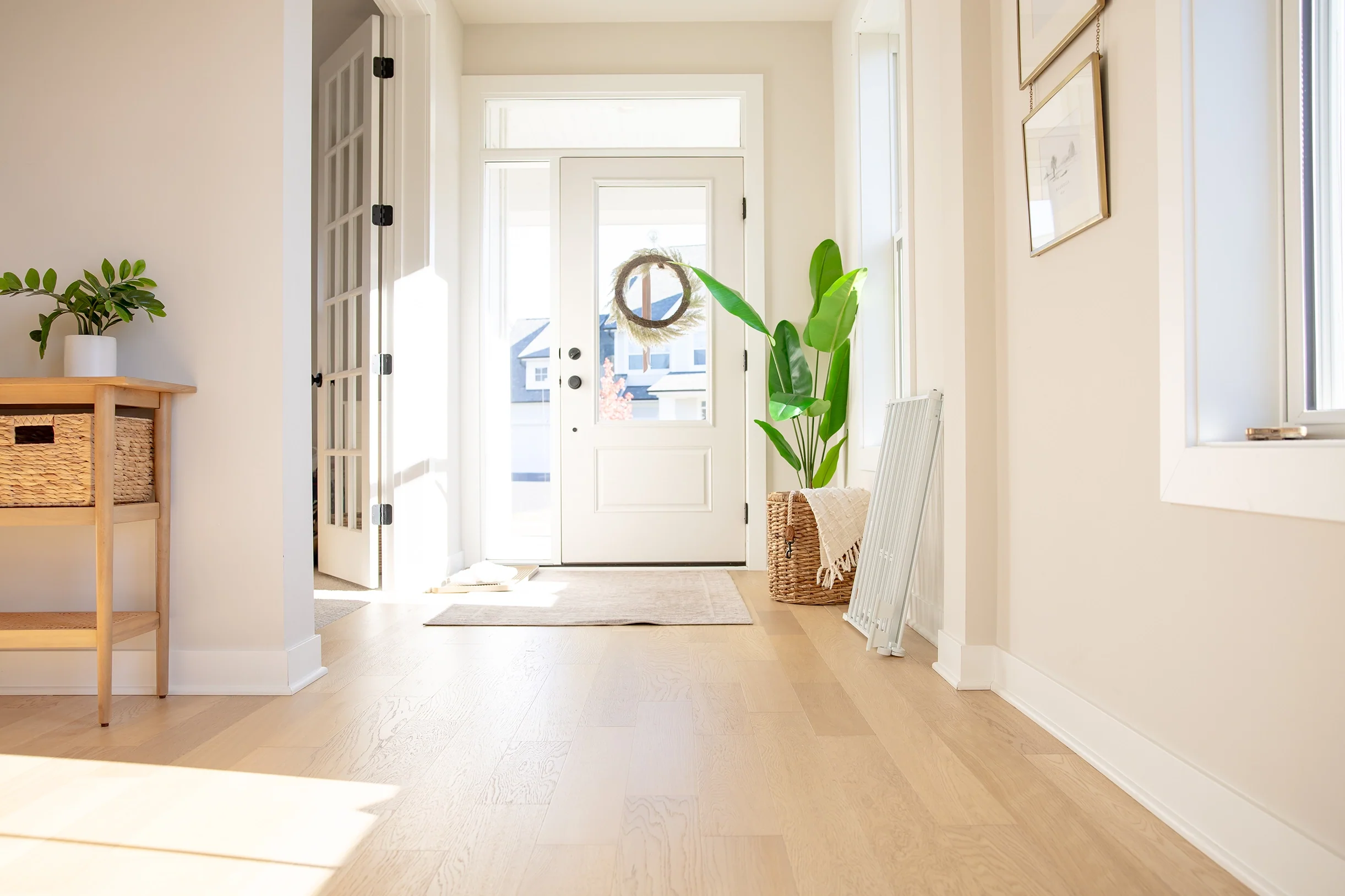 Flexi Walk-Thru Pet Gate - Image 4