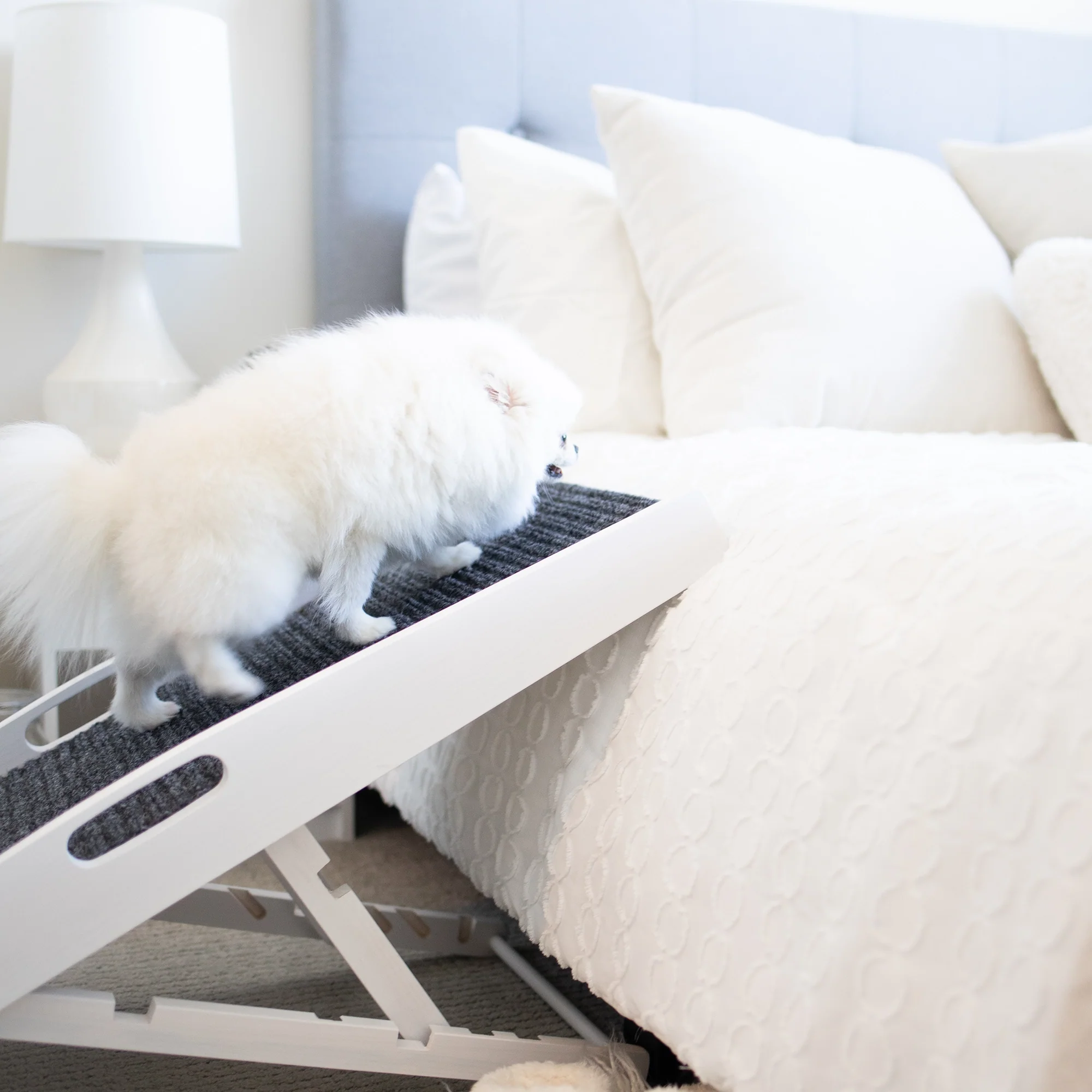 Indoor Pet Ramp - Image 10