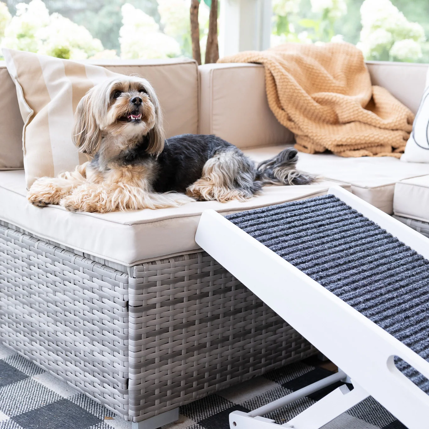 Indoor Pet Ramp - Image 12