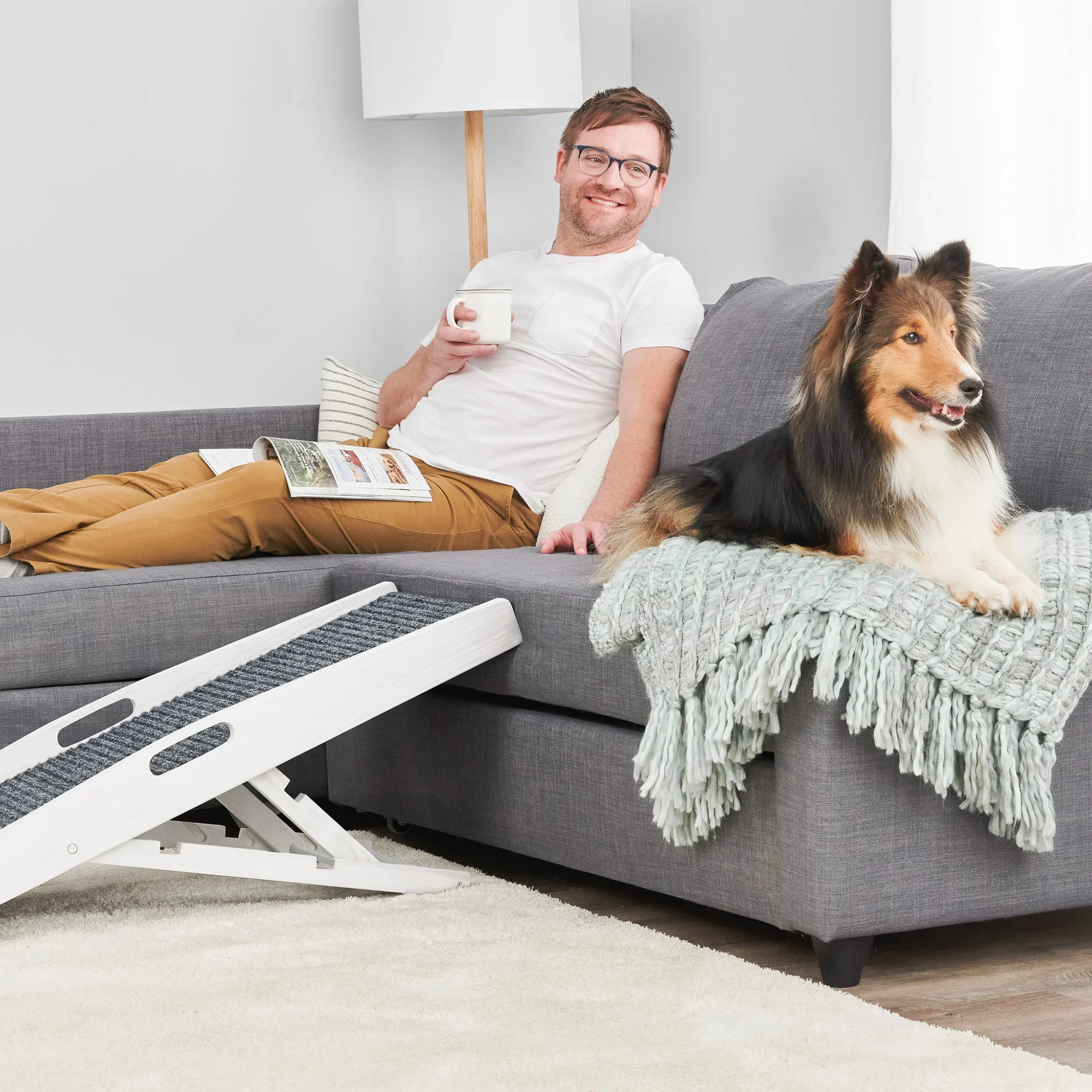 Indoor Pet Ramp - Image 5