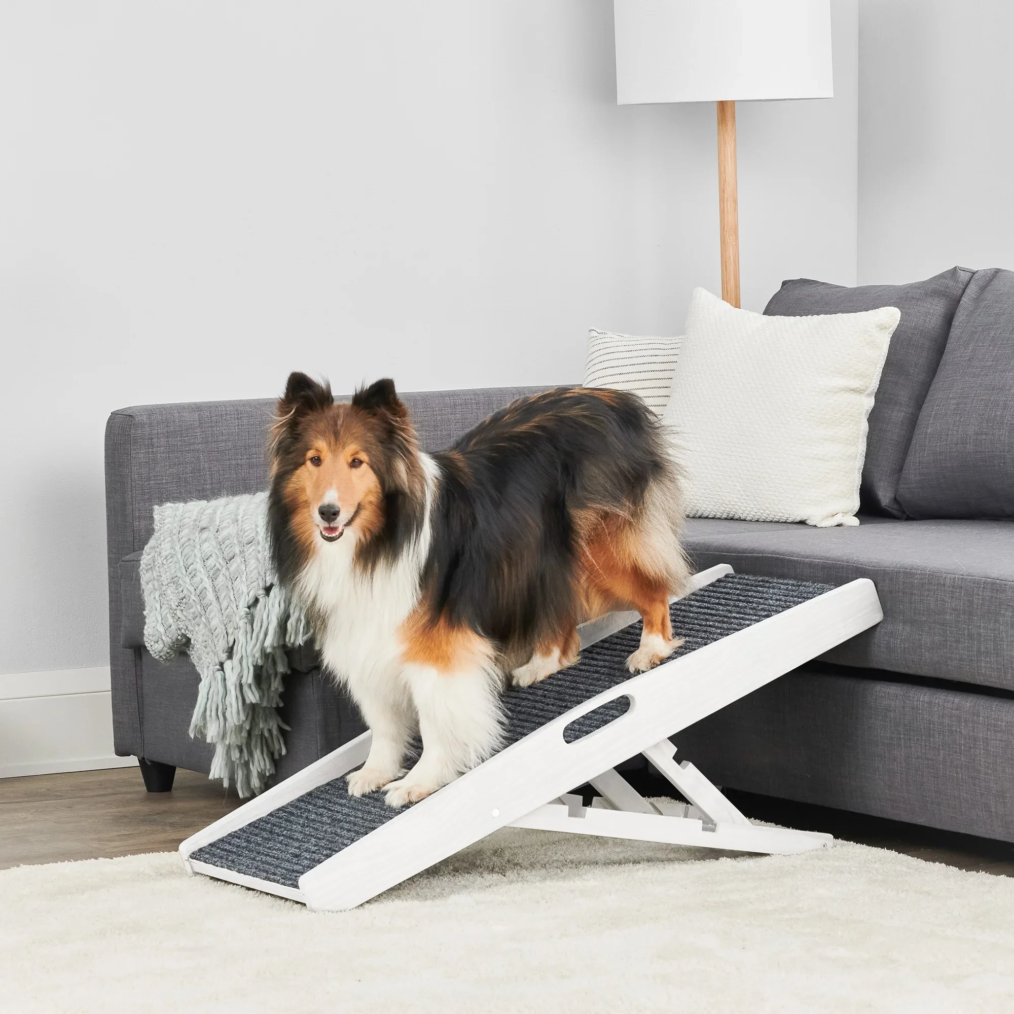 Indoor Pet Ramp - Image 6
