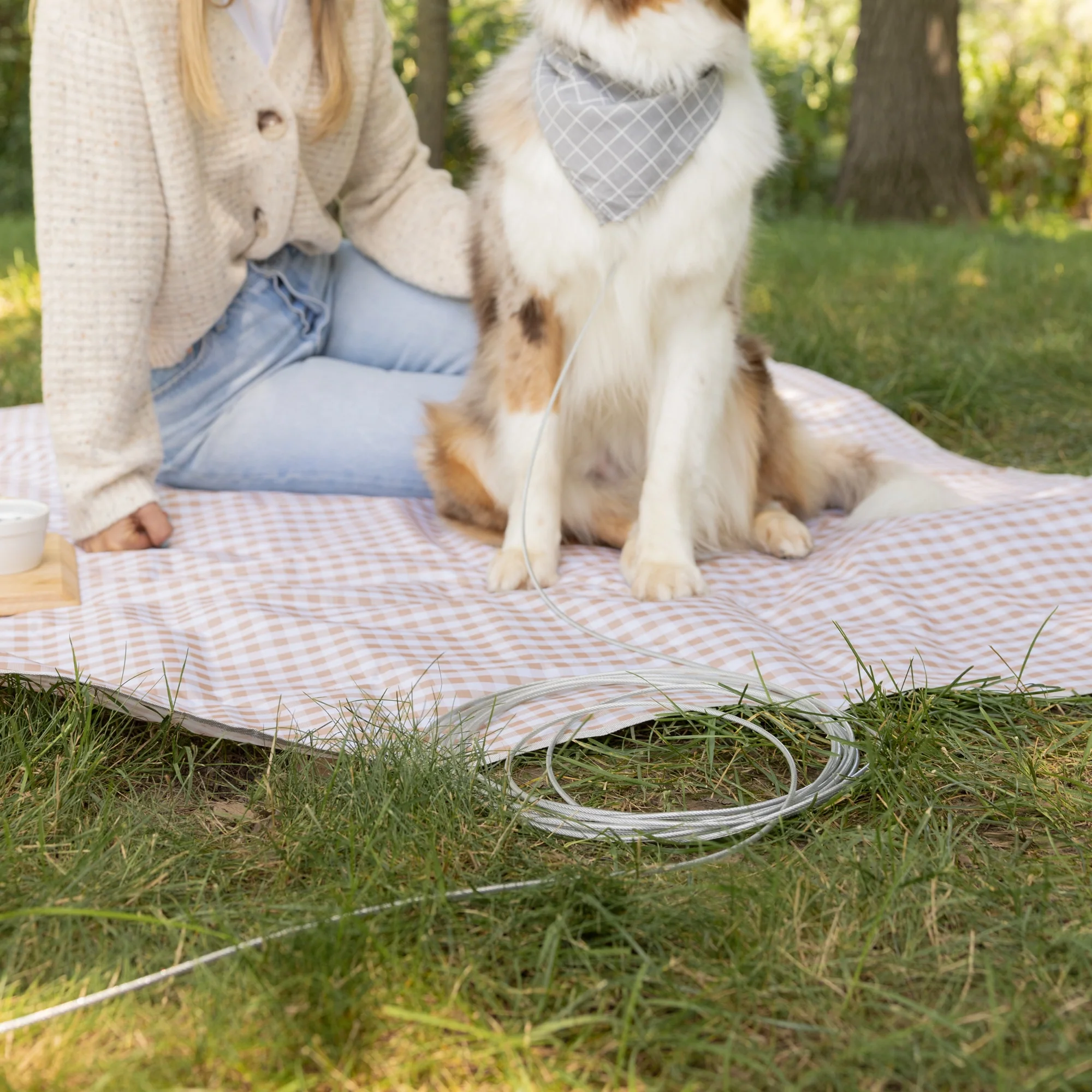 Large Dog Tie-Out Cable - Image 11