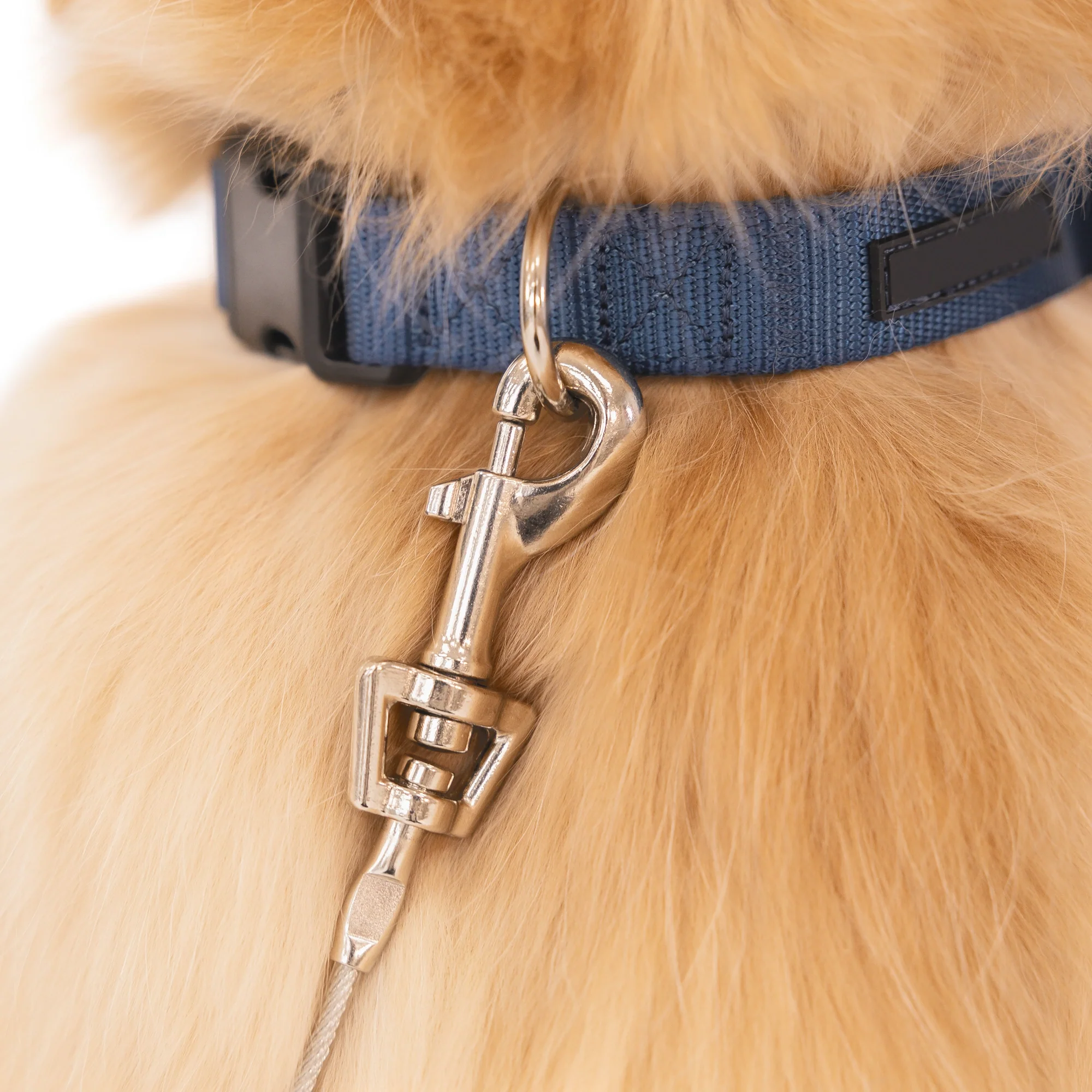 Large Dog Tie-Out Cable - Image 6