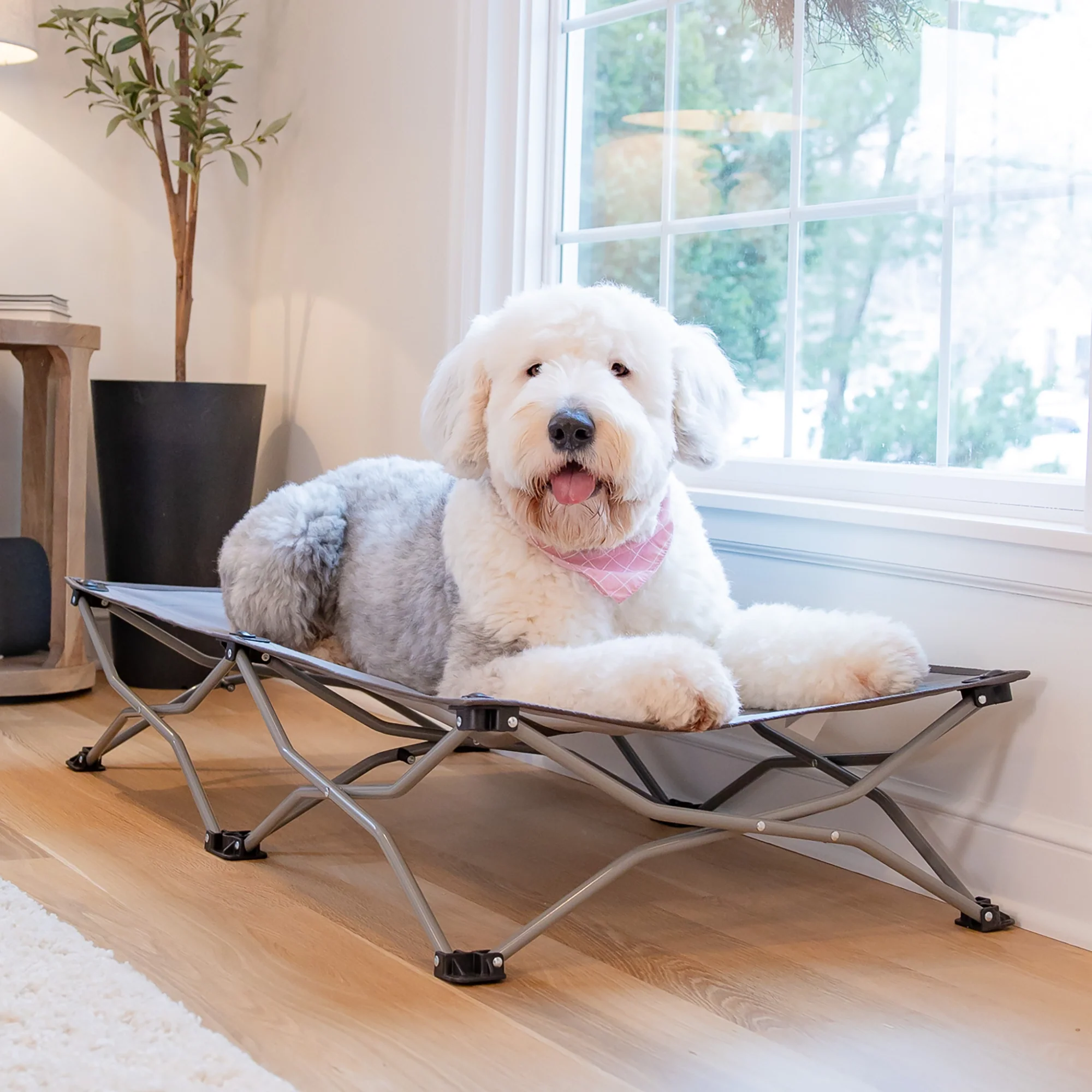 Large Portable Pup Pet Bed - Image 10