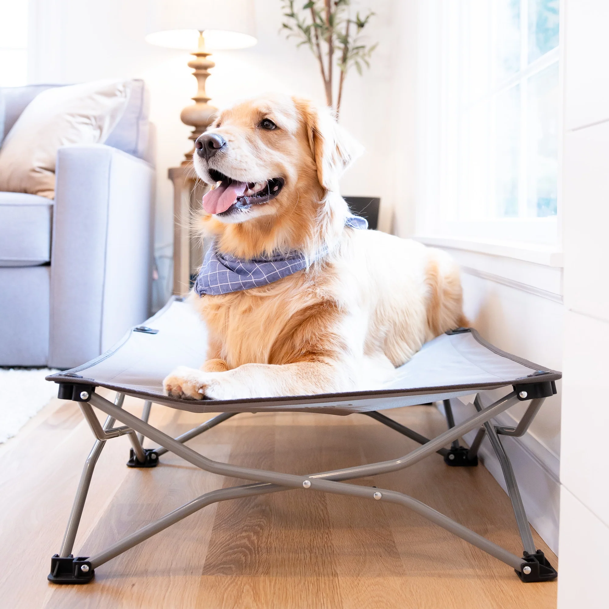 Large Portable Pup Pet Bed - Image 11