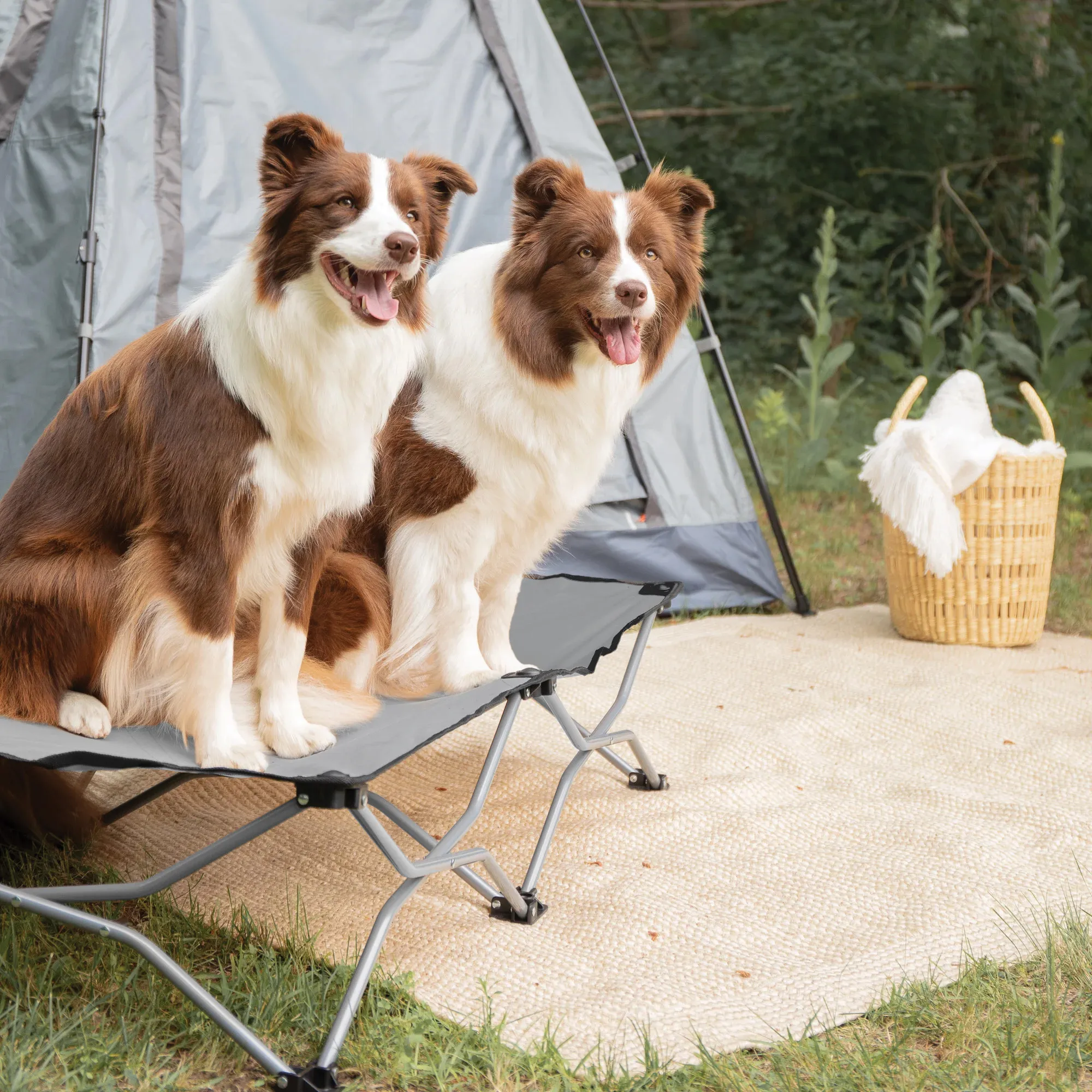 Large Portable Pup Pet Bed - Image 12