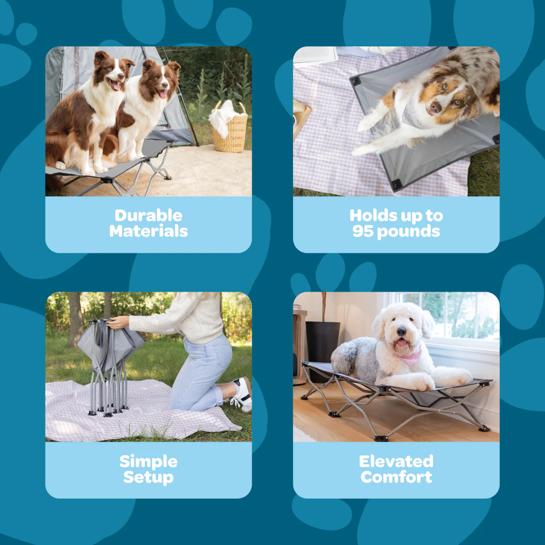 Large Portable Pup Pet Bed - Image 3