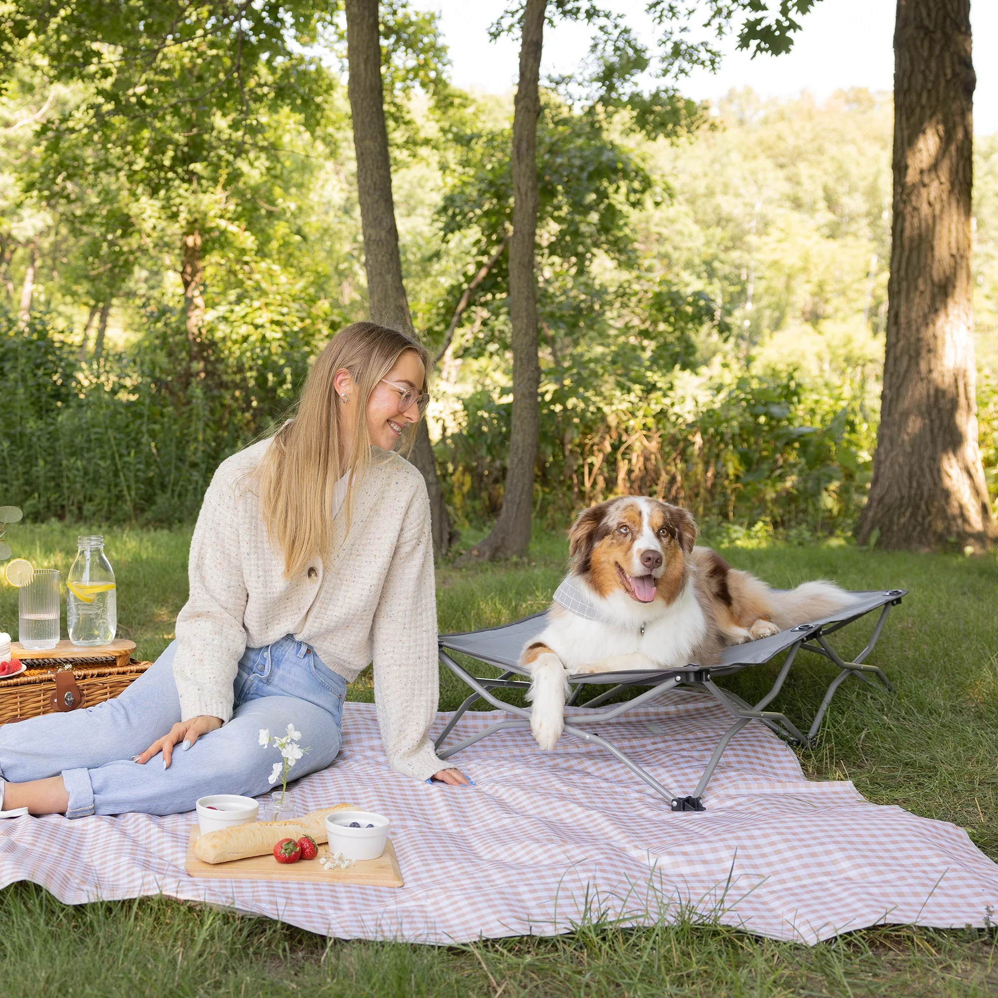 Large Portable Pup Pet Bed - Image 4
