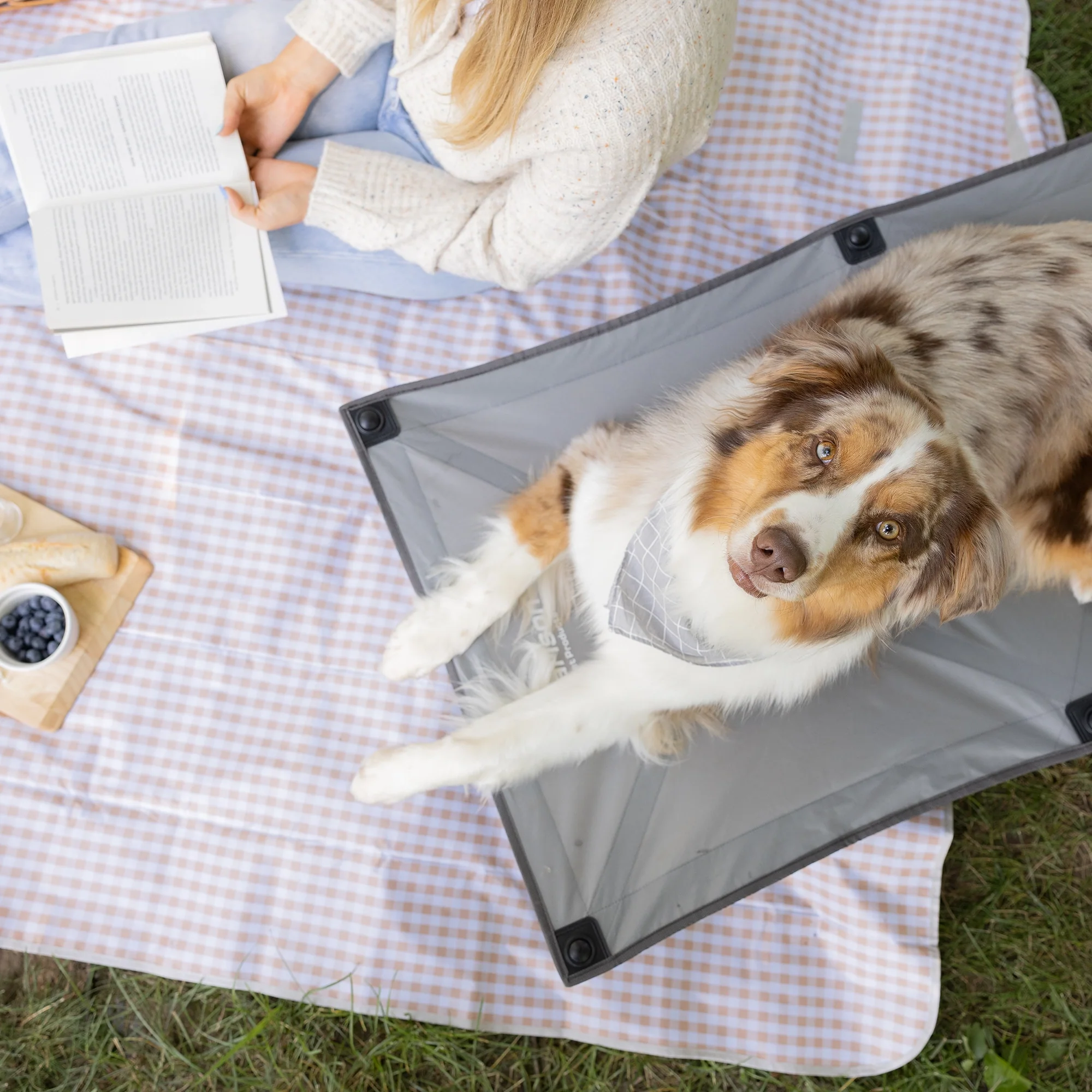Large Portable Pup Pet Bed - Image 6