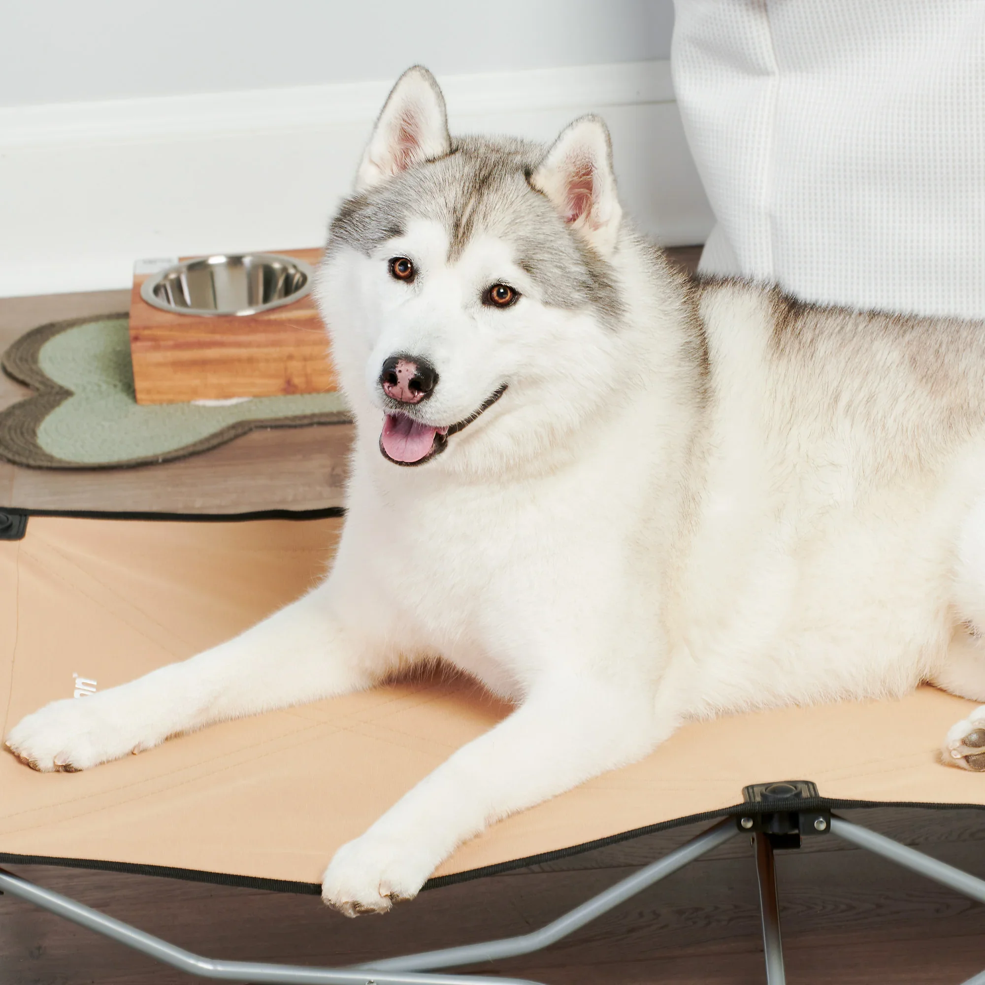 Large Portable Pup Pet Bed - Image 11