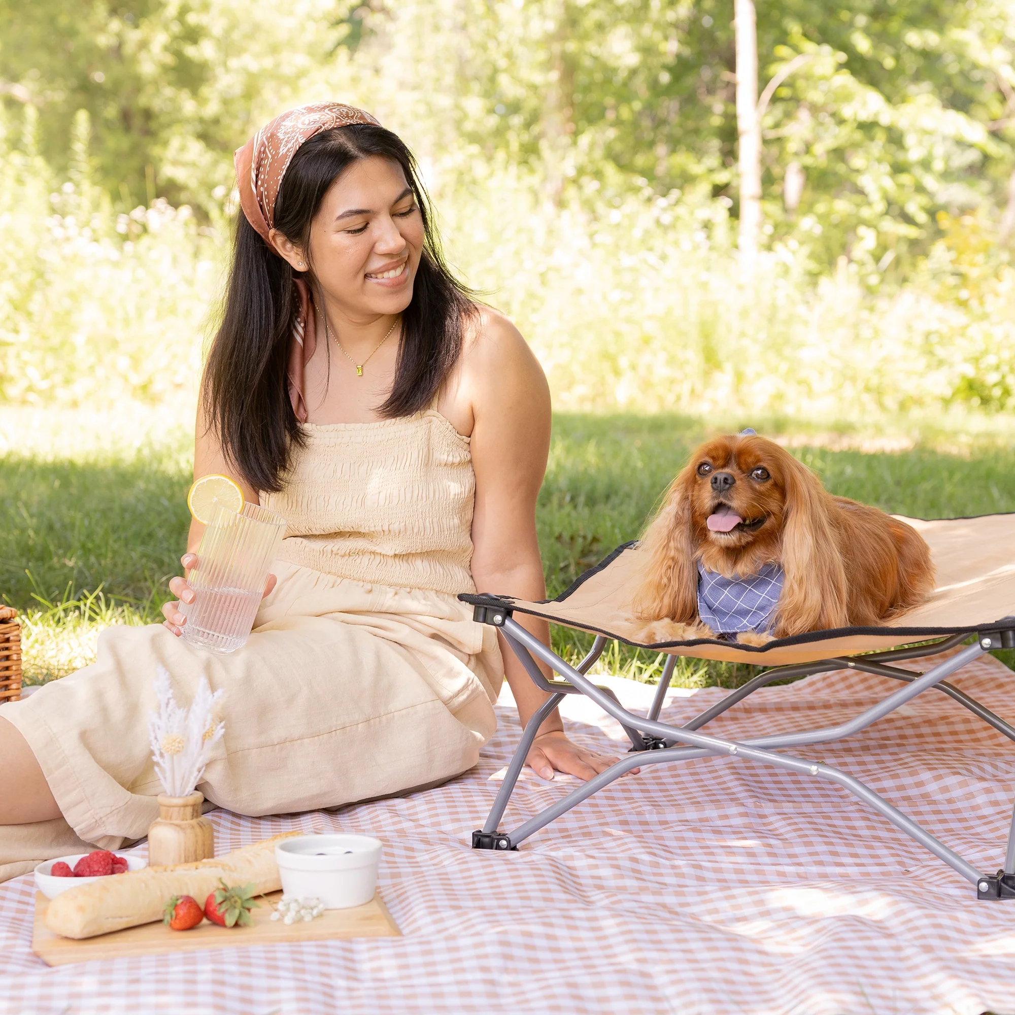 Large Portable Pup Pet Bed - Image 4