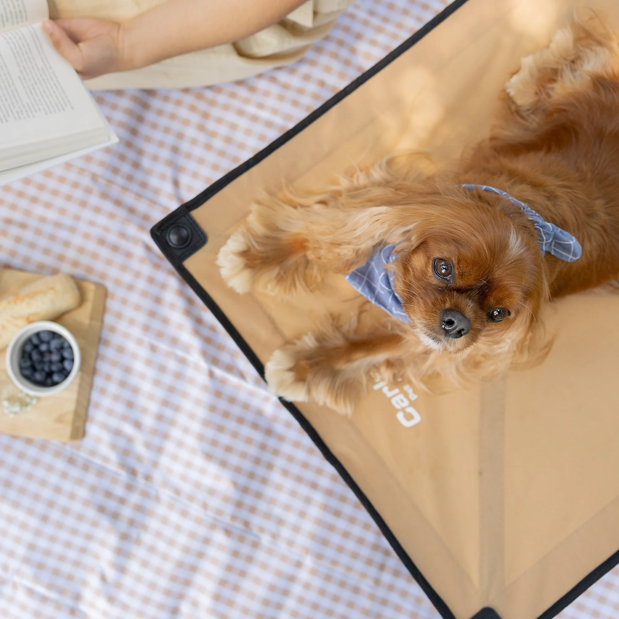 Large Portable Pup Pet Bed - Image 5