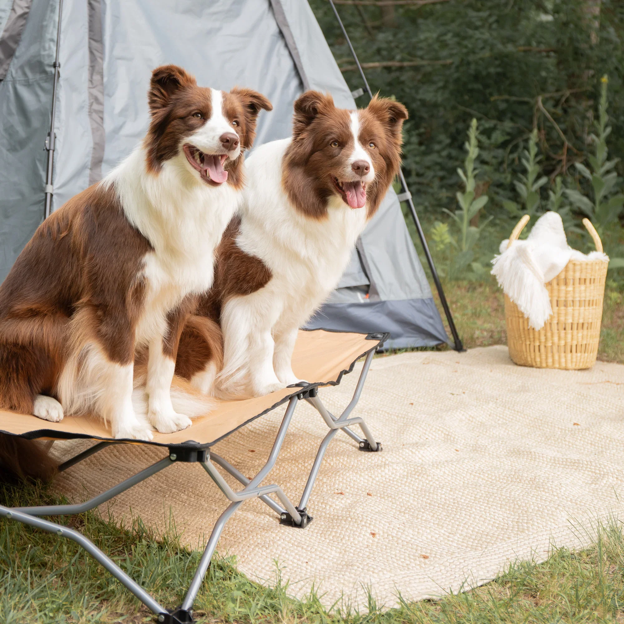 Large Portable Pup Pet Bed - Image 6