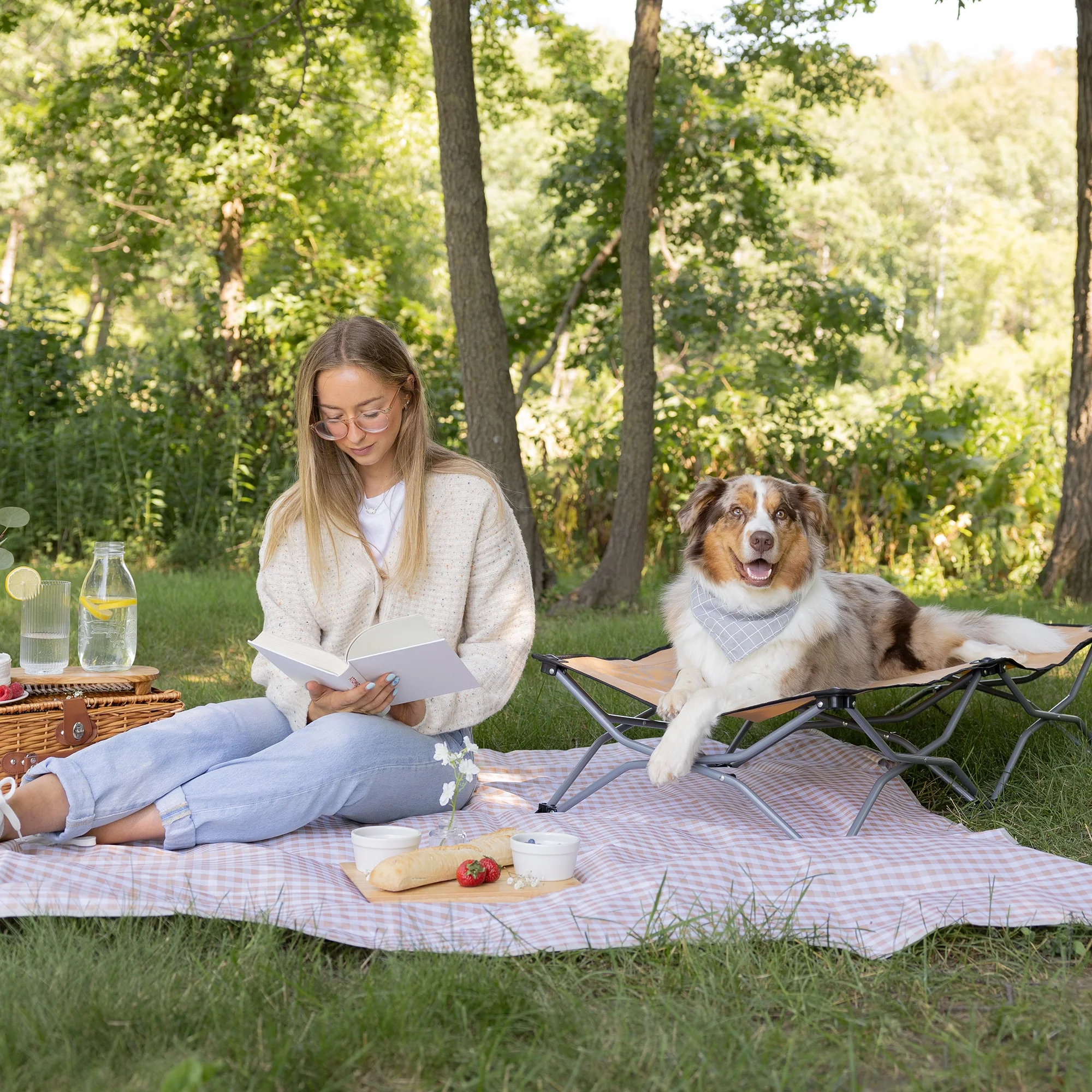 Large Portable Pup Pet Bed - Image 7
