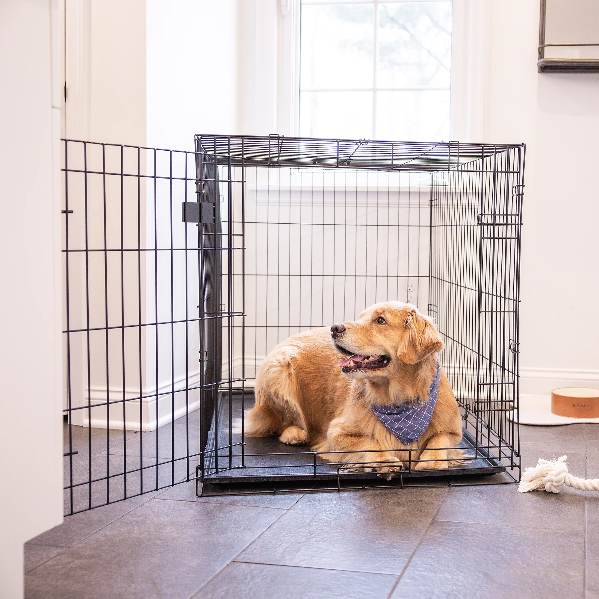 Large Single-Door Dog Crate - Image 11