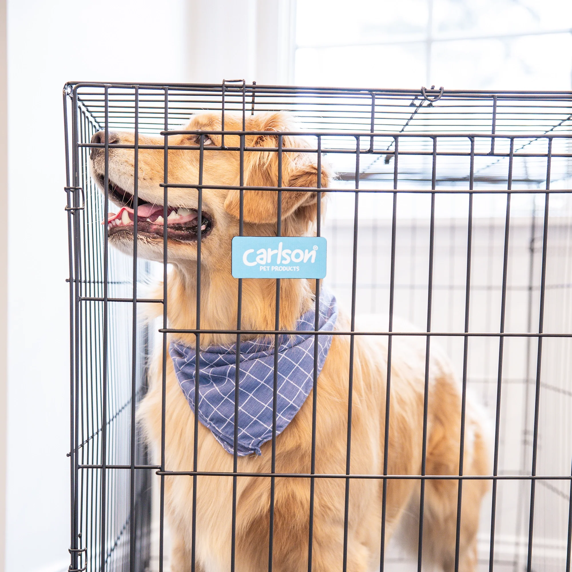 Large Single-Door Dog Crate - Image 12
