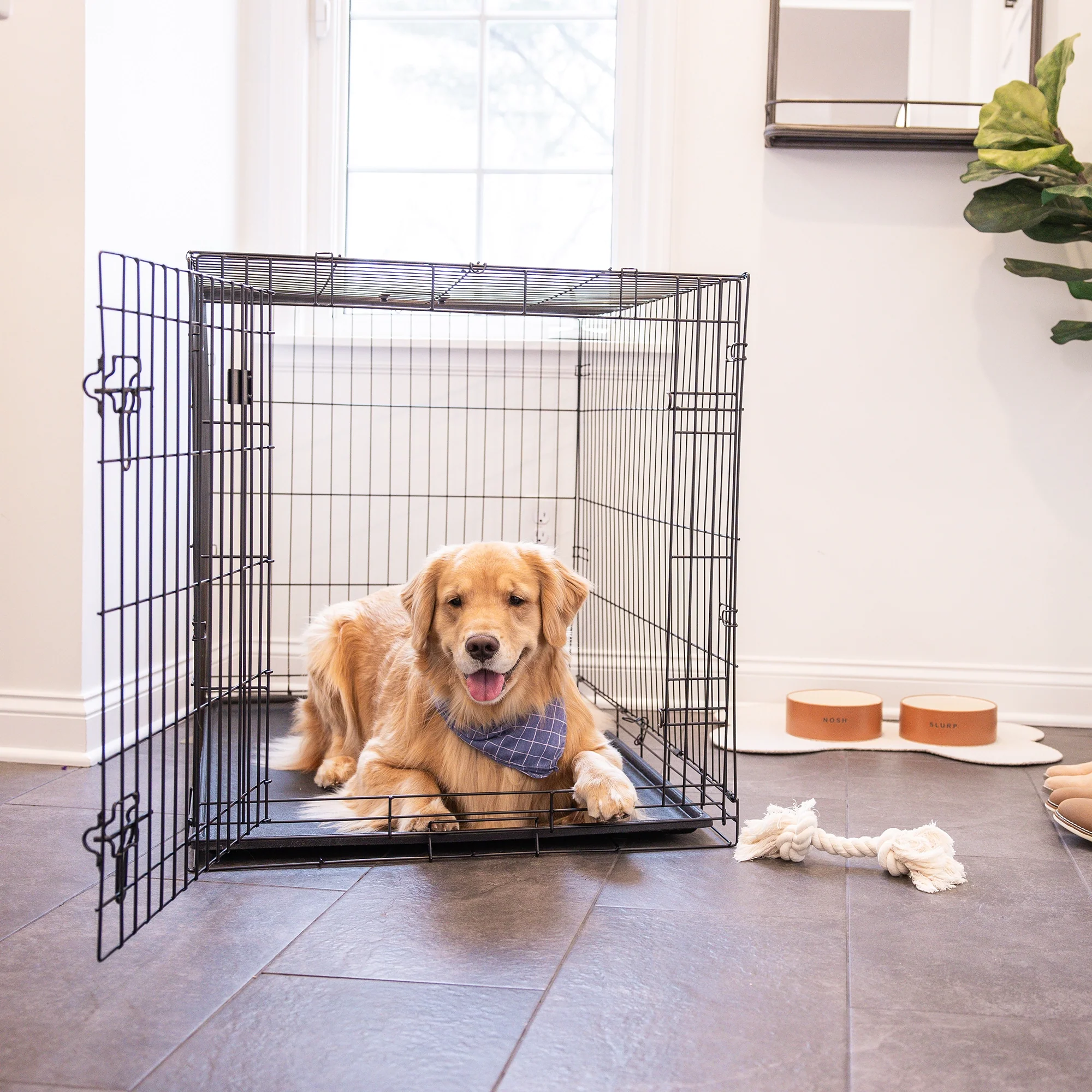 Large Single-Door Dog Crate - Image 13