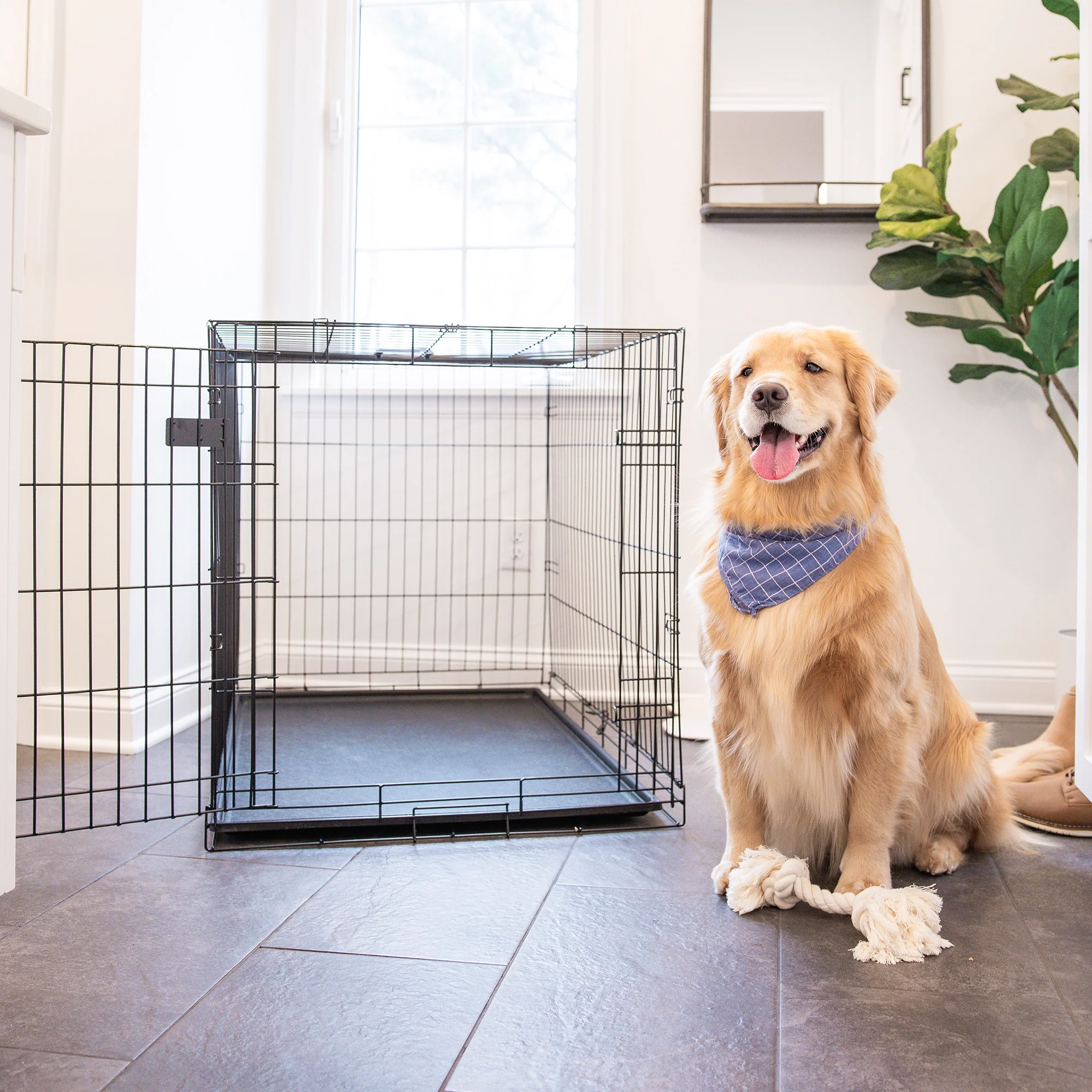 Large Single-Door Dog Crate - Image 14