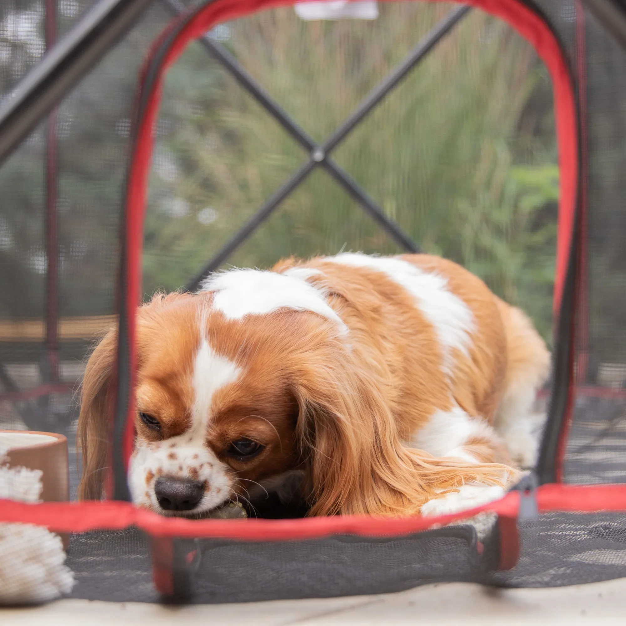 Portable Pet Pen - Image 10