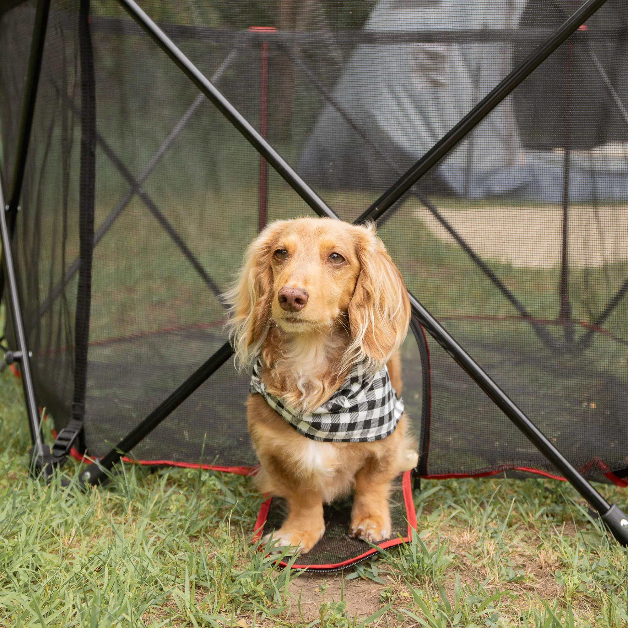 Portable Pet Pen - Image 8