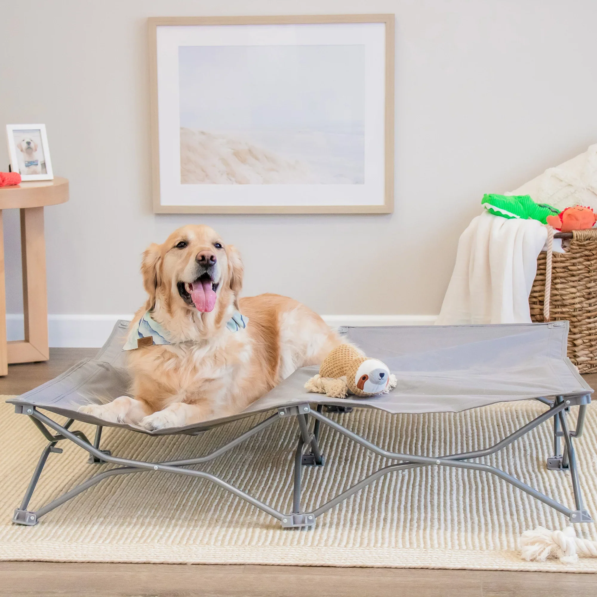 Portable Pup Pet Bed Extra Wide - Image 4