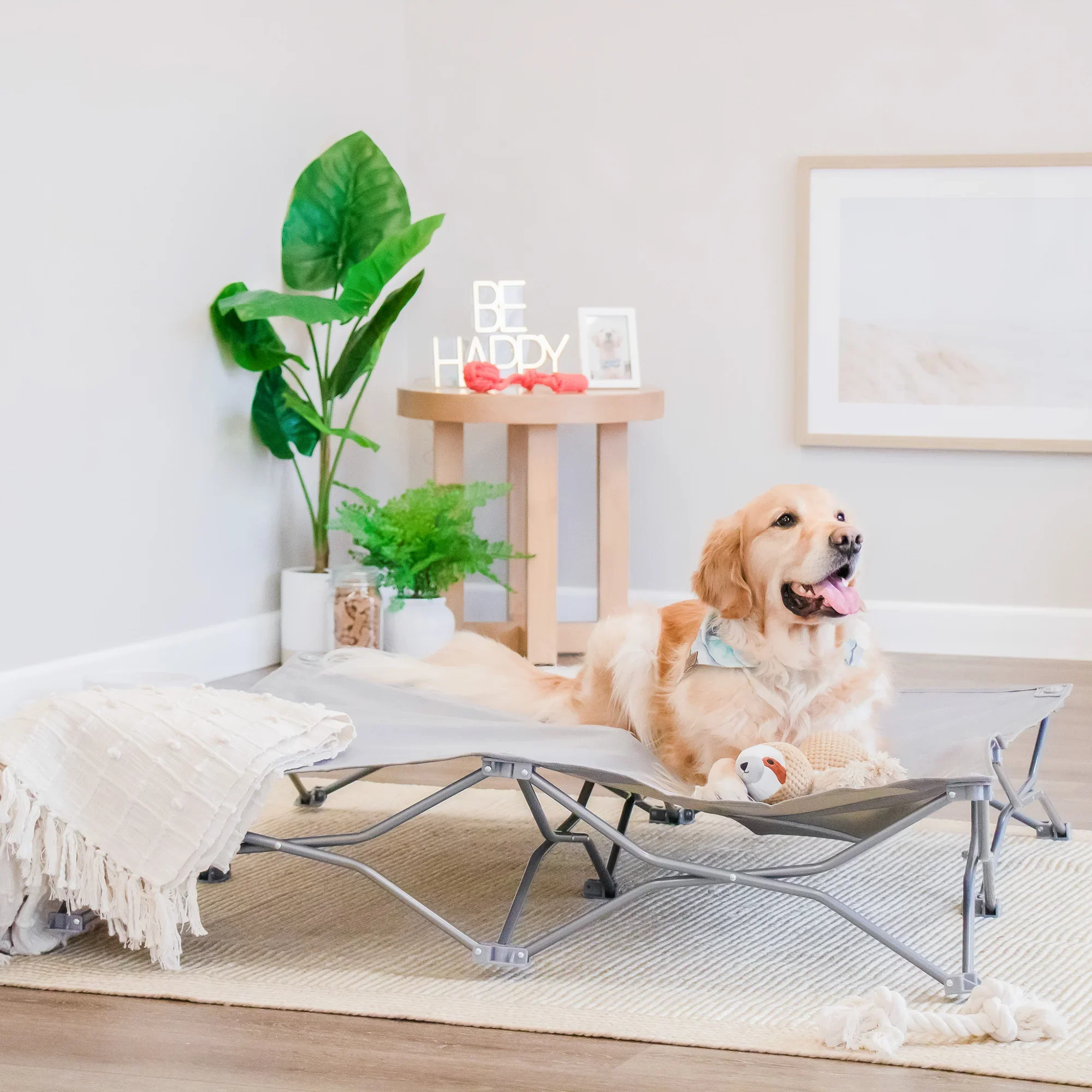 Portable Pup Pet Bed Extra Wide - Image 5