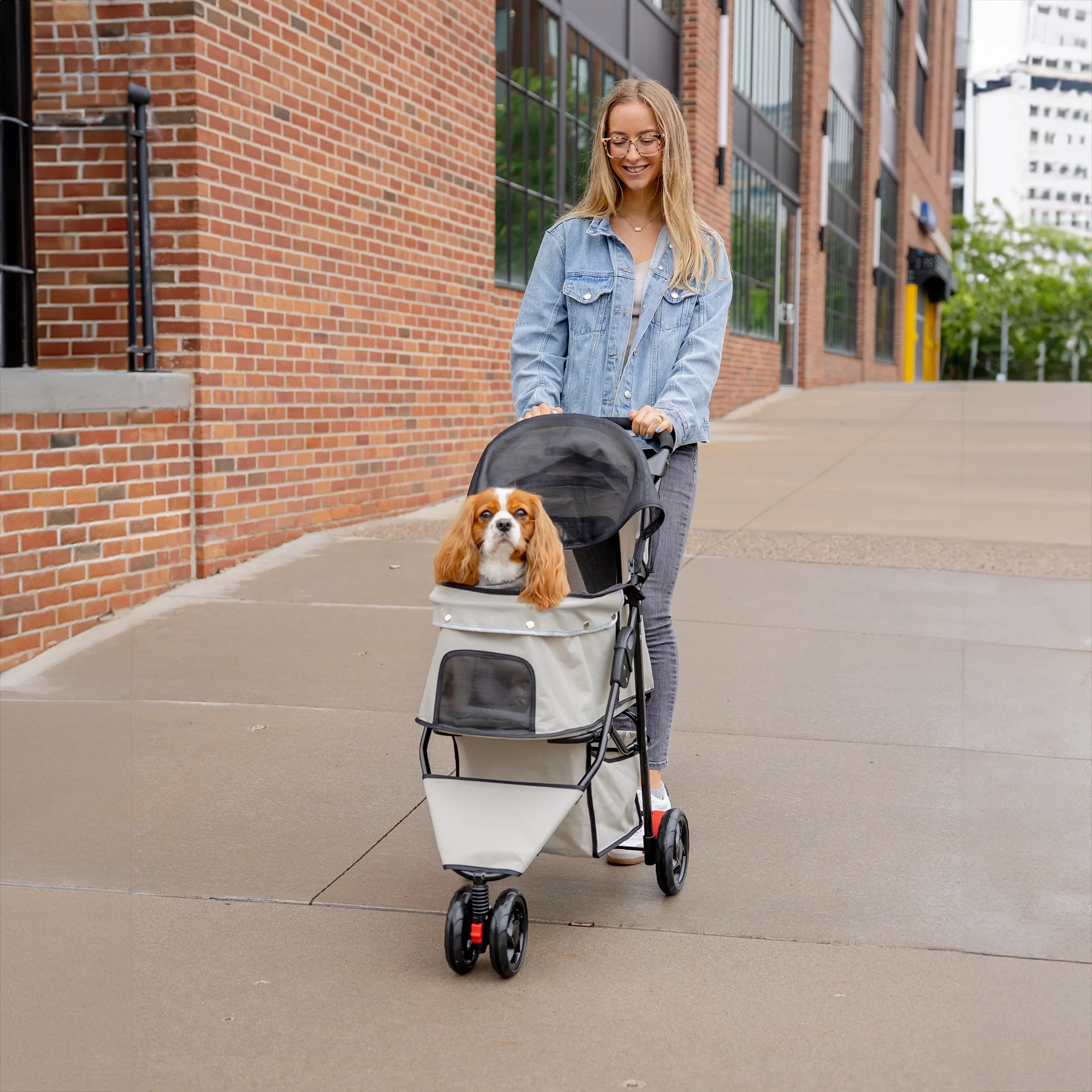 Portable Pup Pet Stroller - Image 11