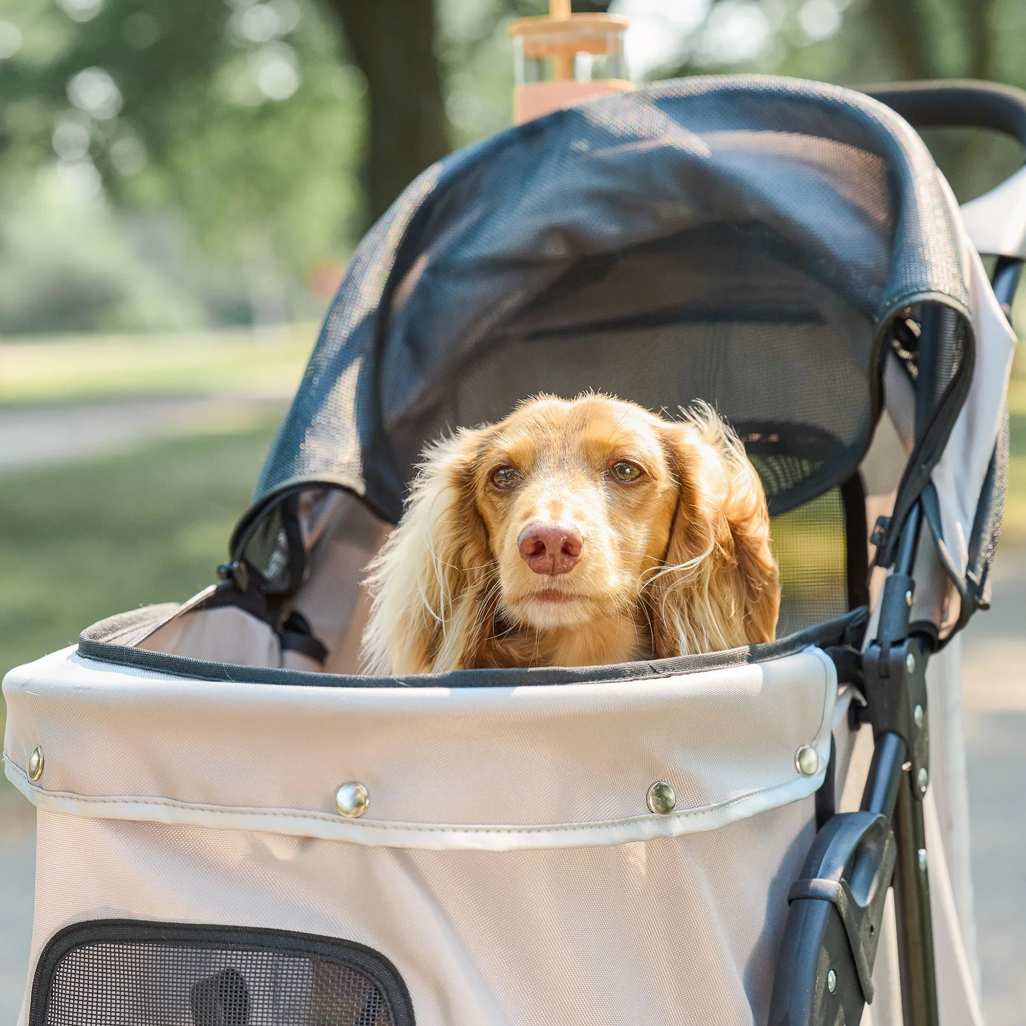 Portable Pup Pet Stroller - Image 7