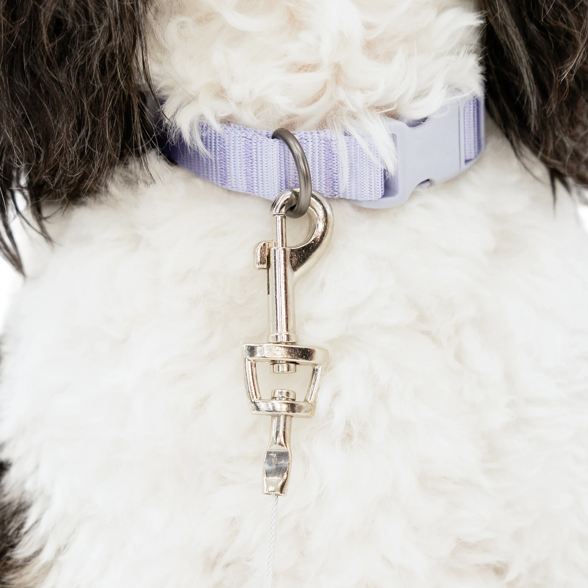 Small Dog Tie-Out Cable - Image 6