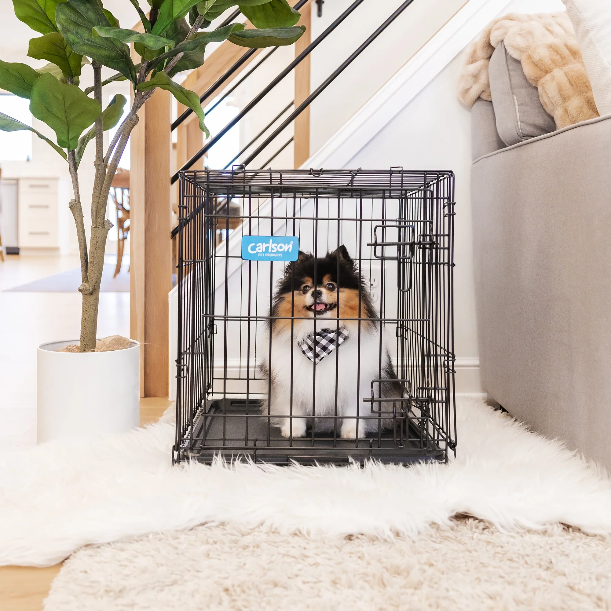 Small Single-Door Dog Crate - Image 12