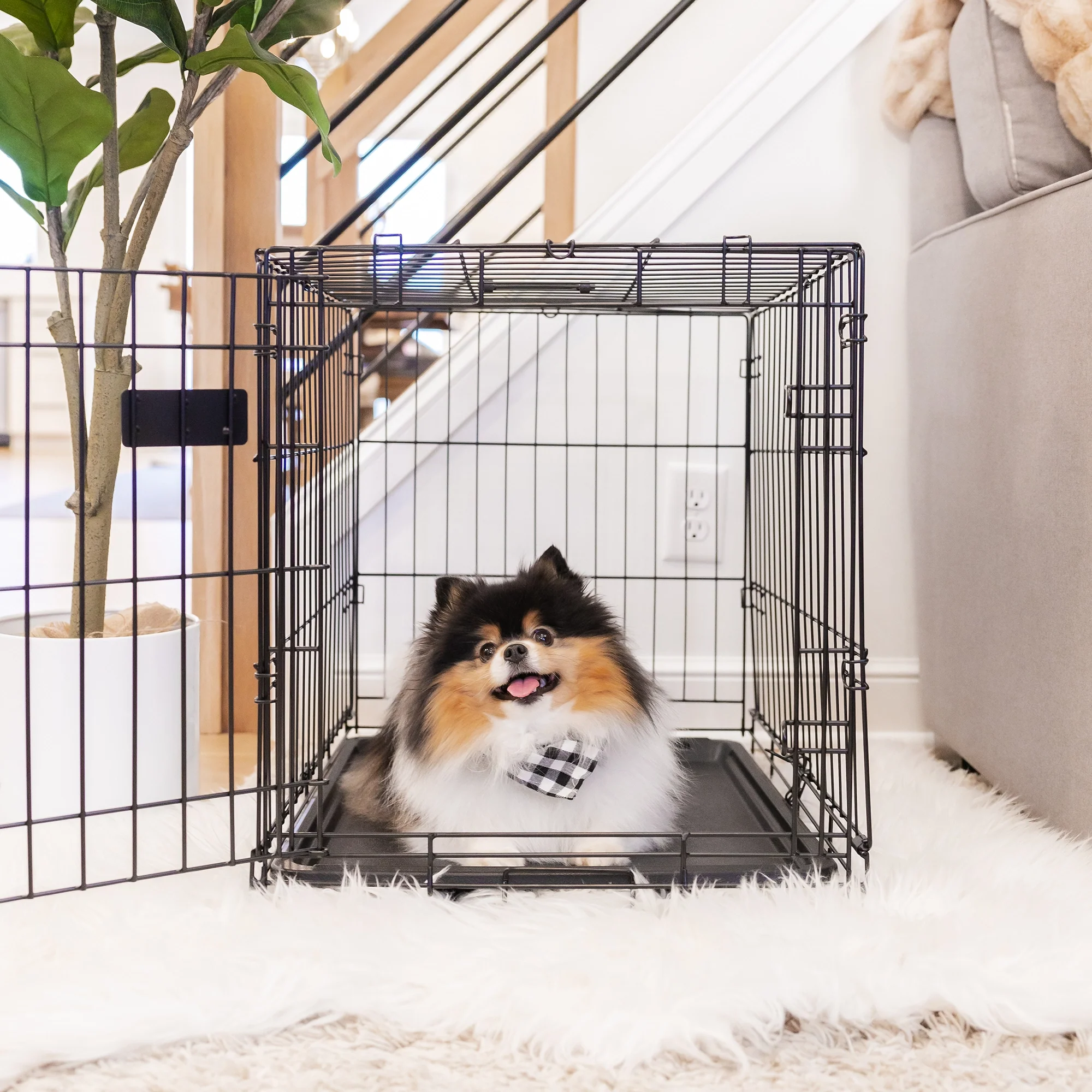 Small Single-Door Dog Crate - Image 13