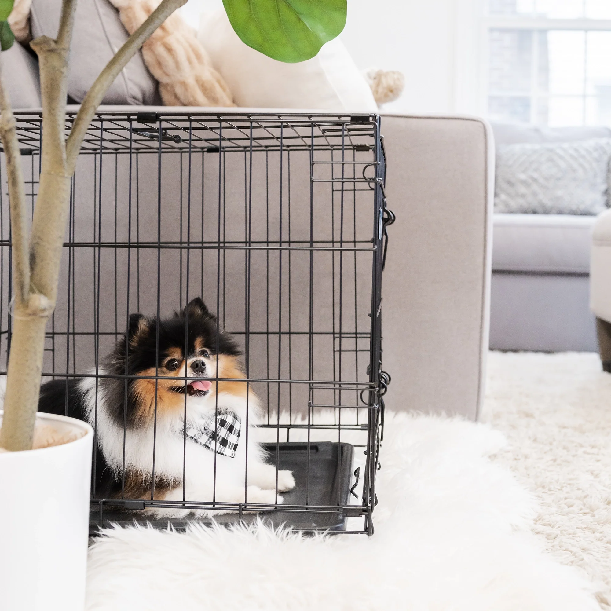 Small Single-Door Dog Crate - Image 14