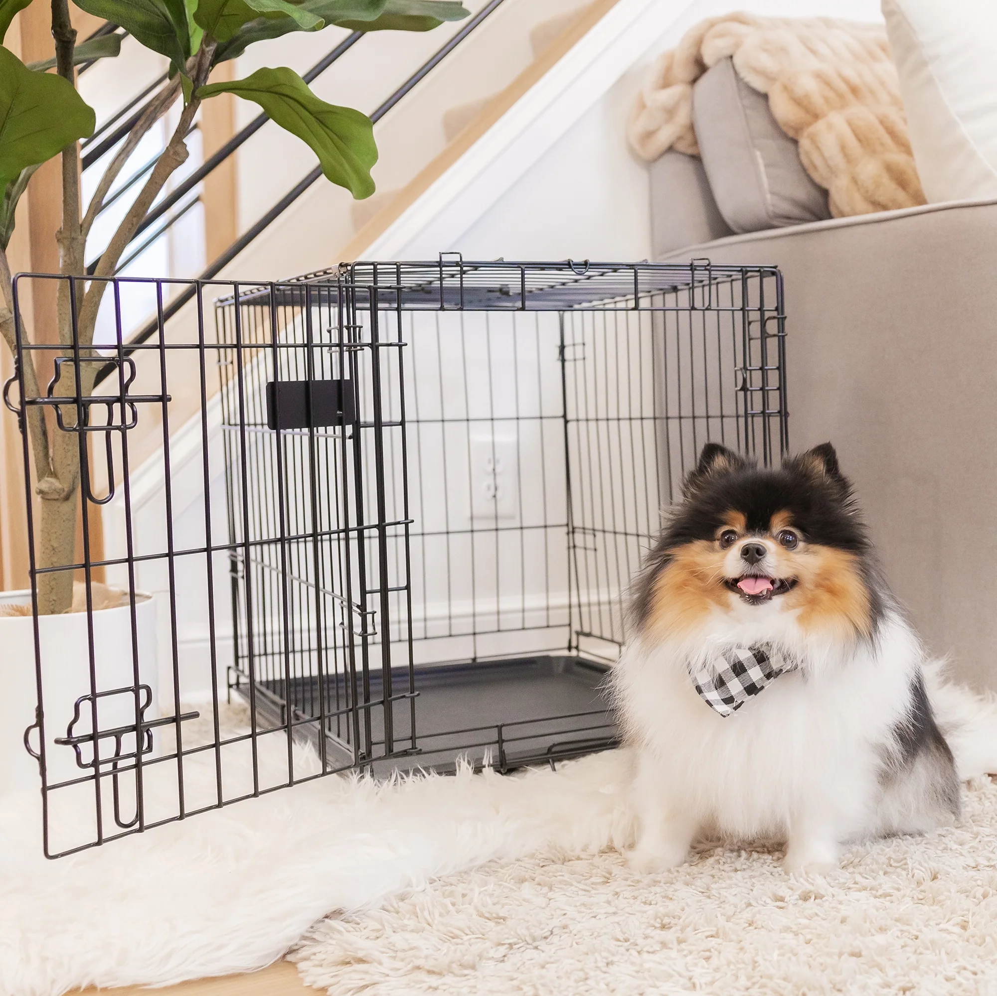 Small Single-Door Dog Crate - Image 15