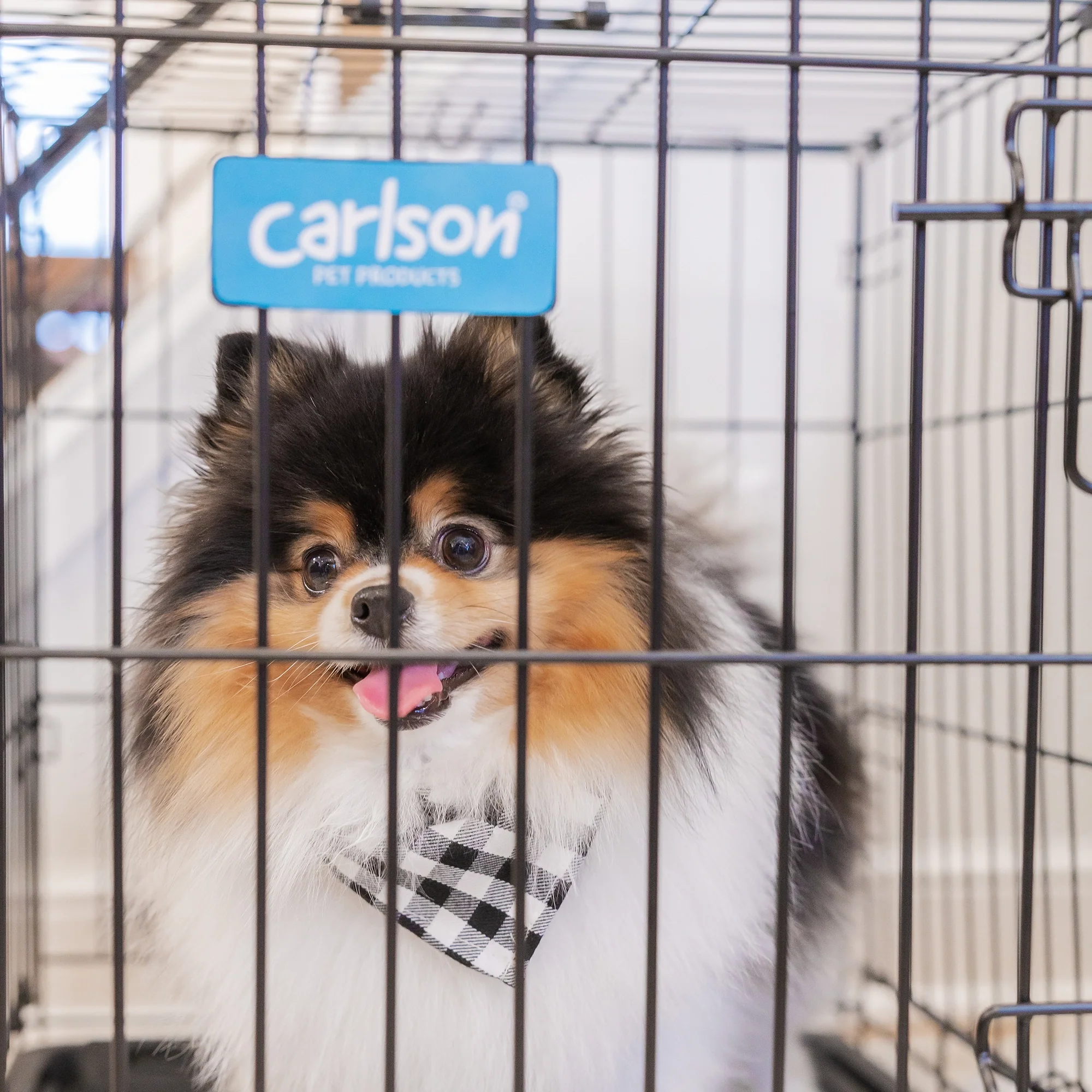 Small Single-Door Dog Crate - Image 16